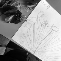 CDLY P bw MG_4510.jpg