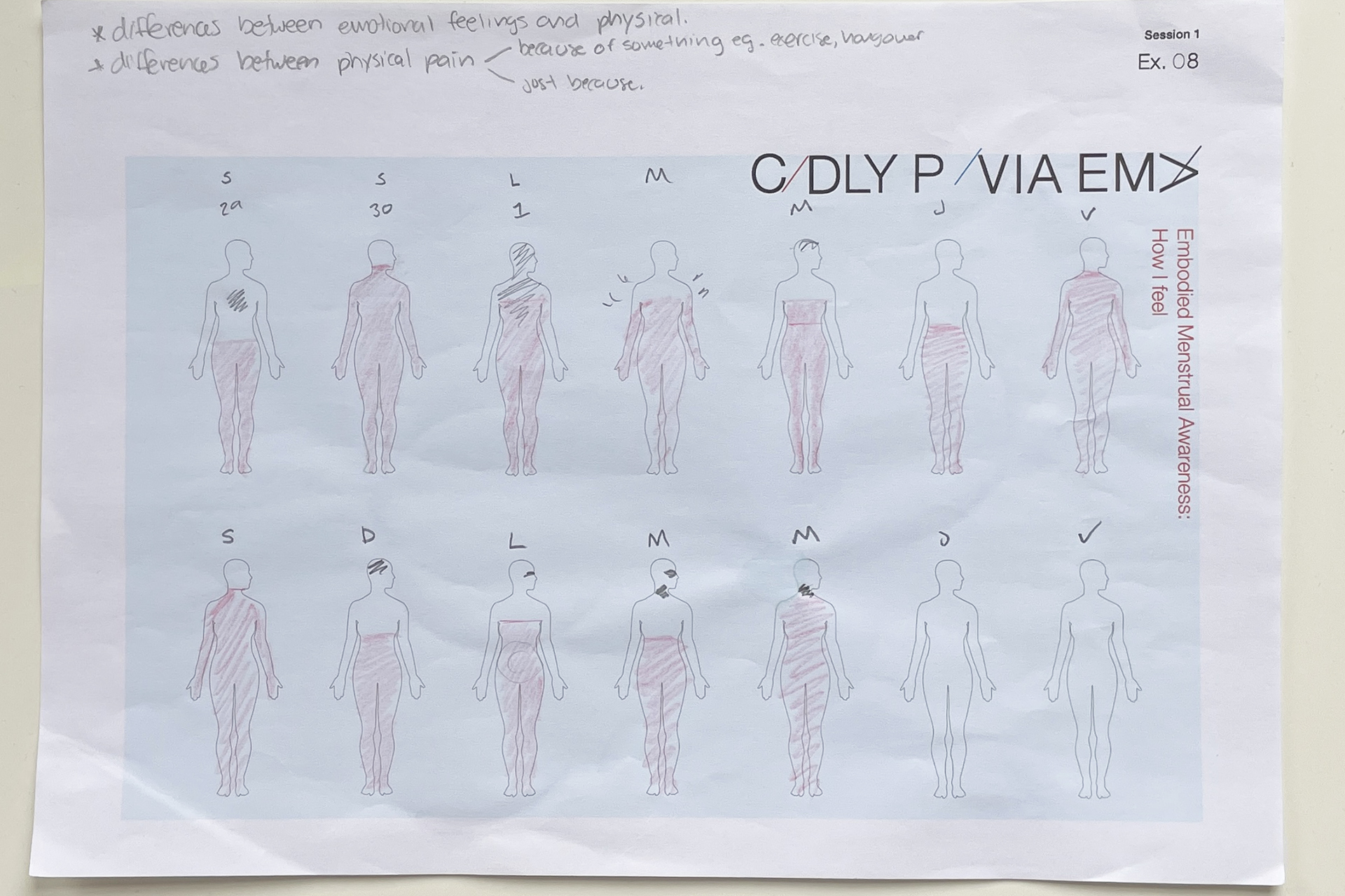 CDLY P corr Image (1).jpg