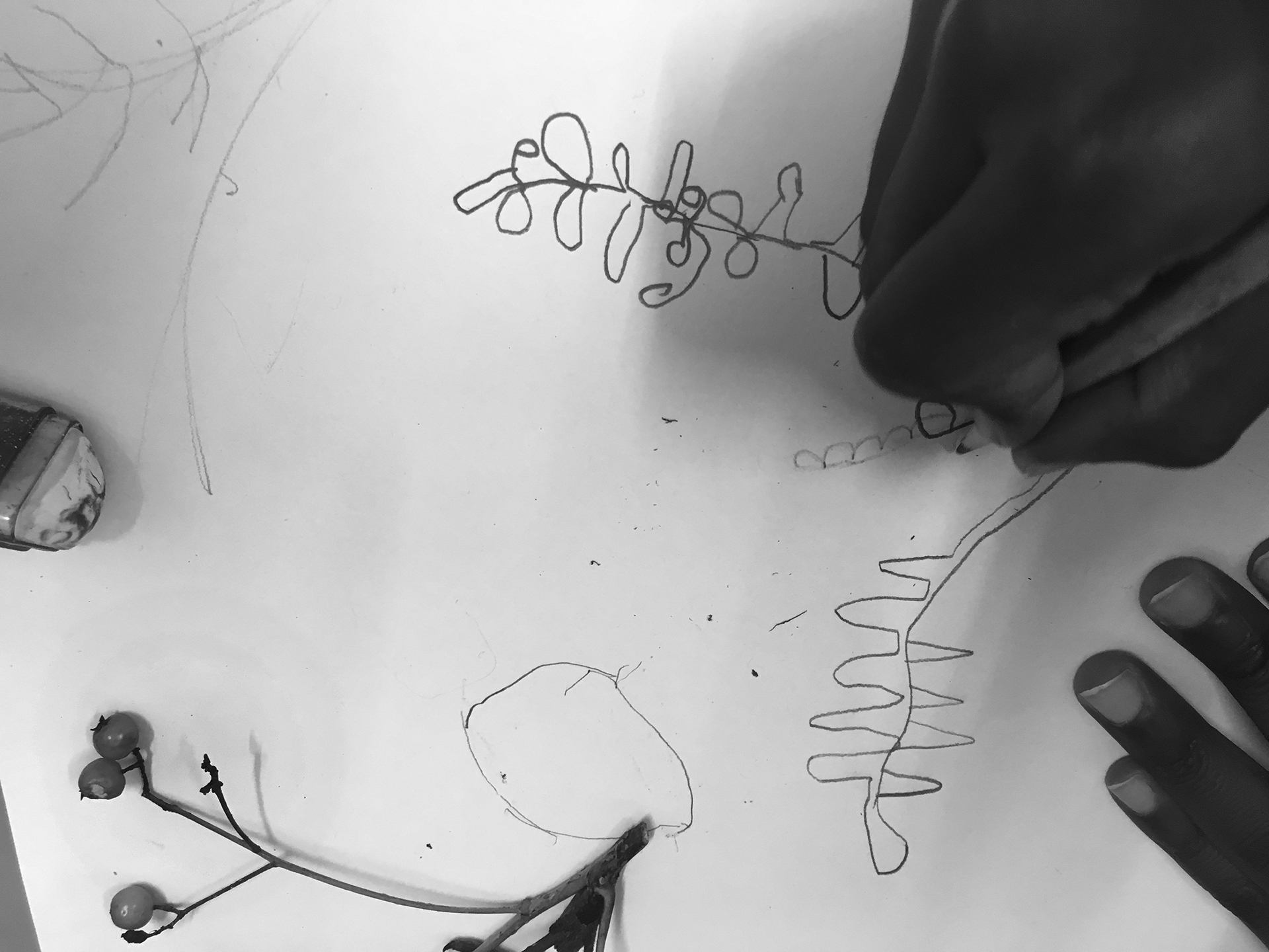 CDLY P bw IMG_4517.jpg