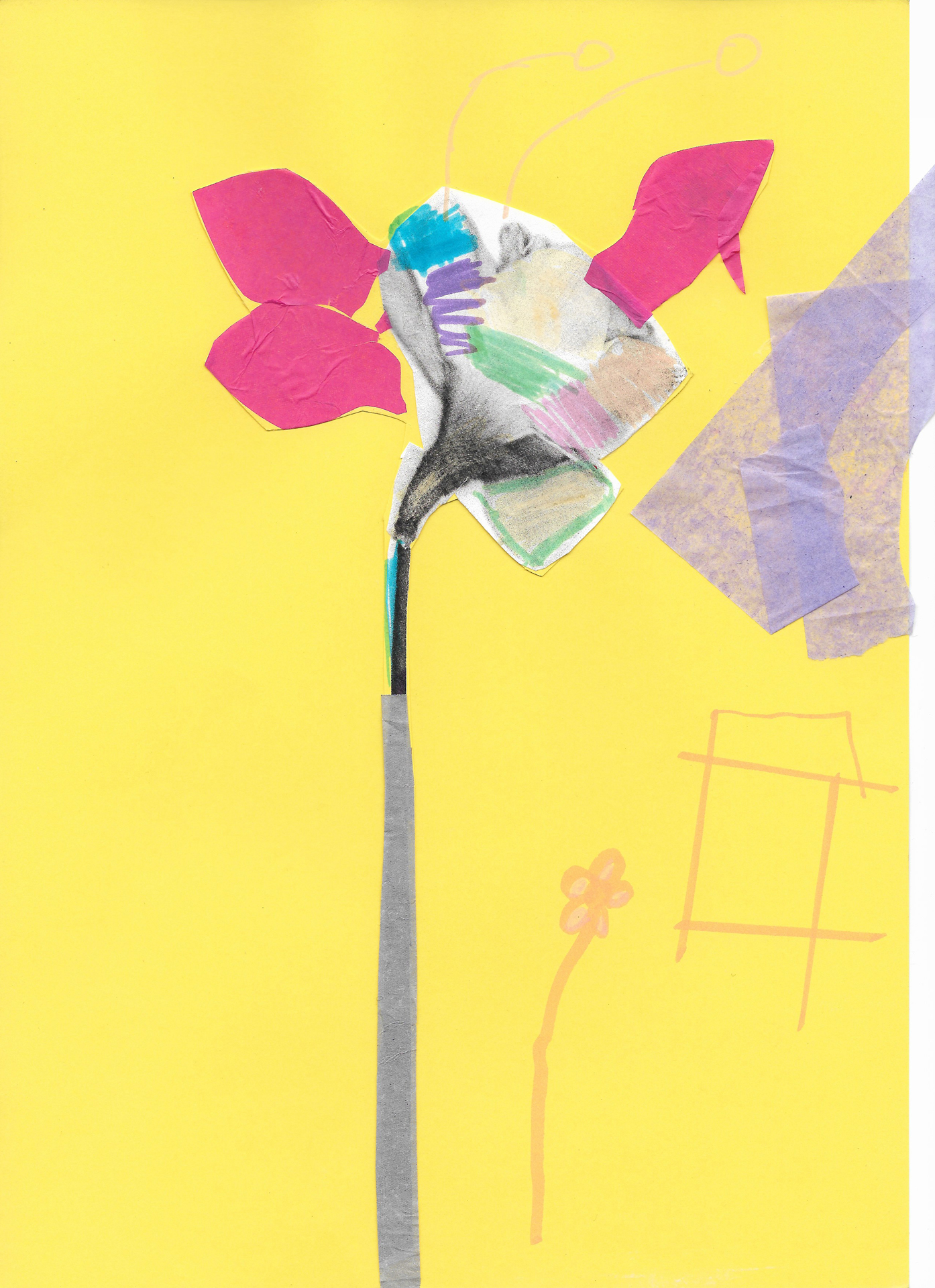 CDLY P Daffodils daffodil Mahilina.jpg