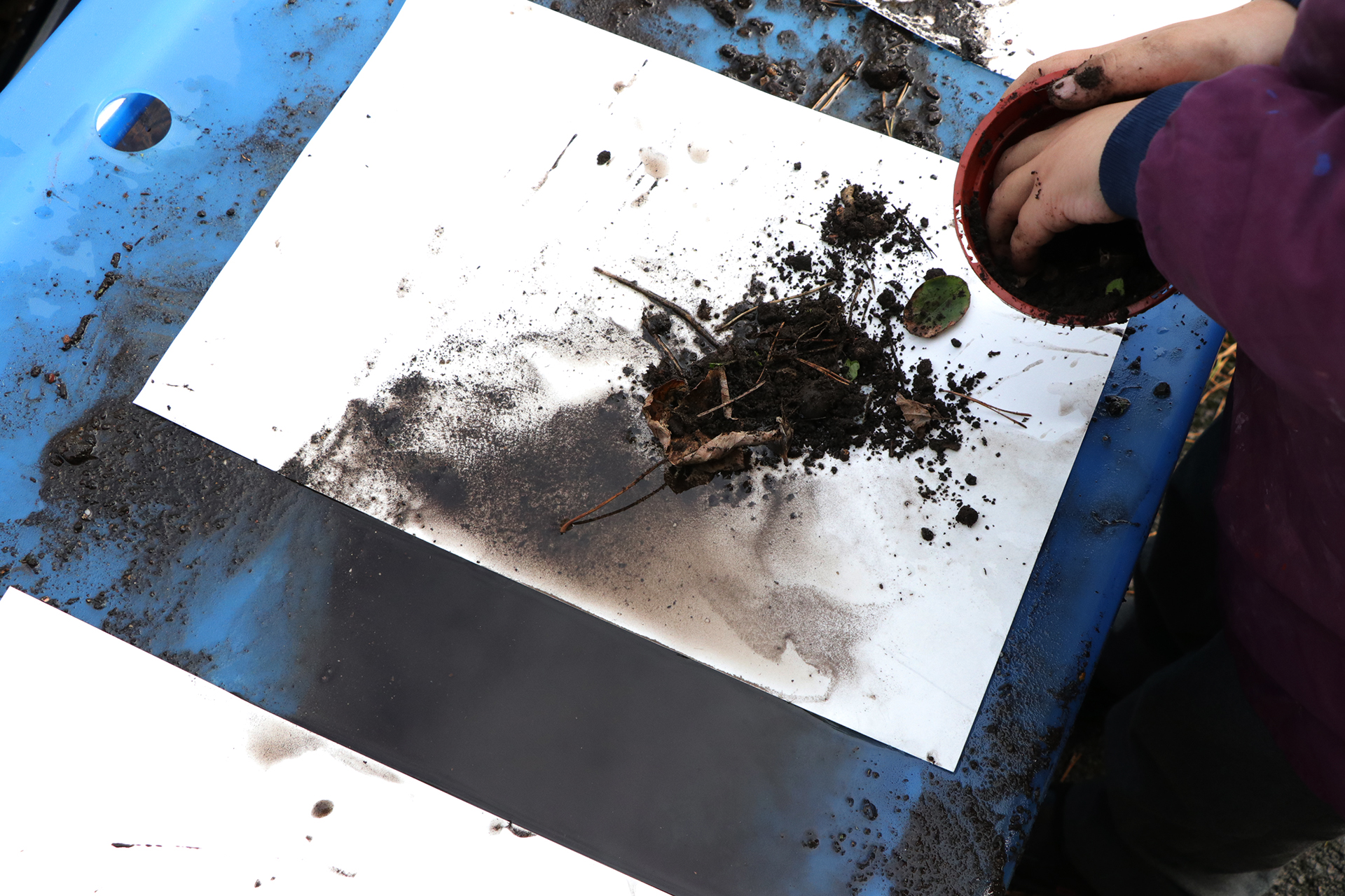 +CDLY P Mud Painting IMG_1714.jpg