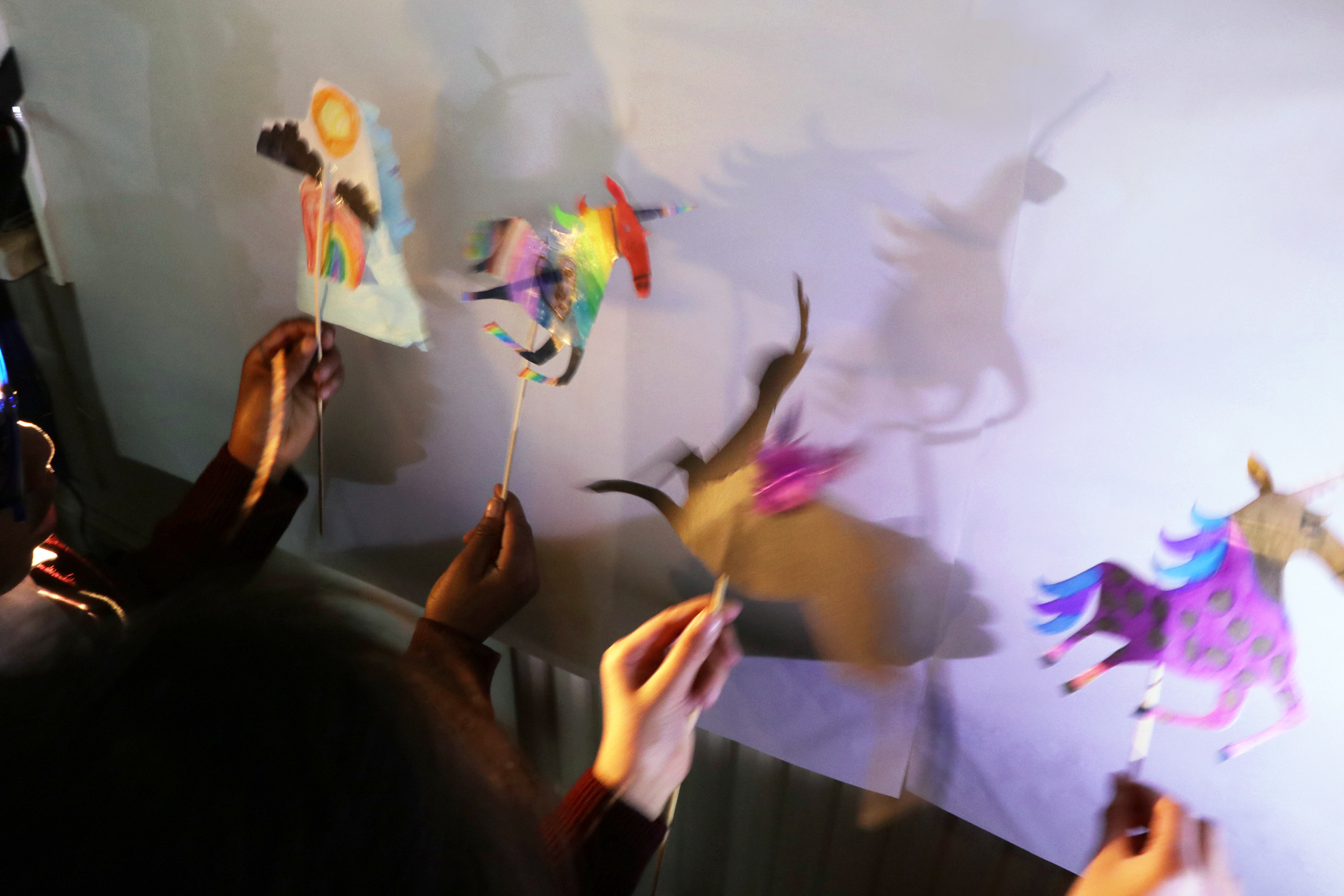 + CDLY P Shadow puppets, IMG_7652.jpg