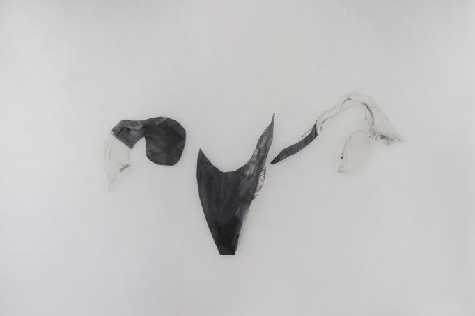 CDLY P $IMG_6497 copy.jpg