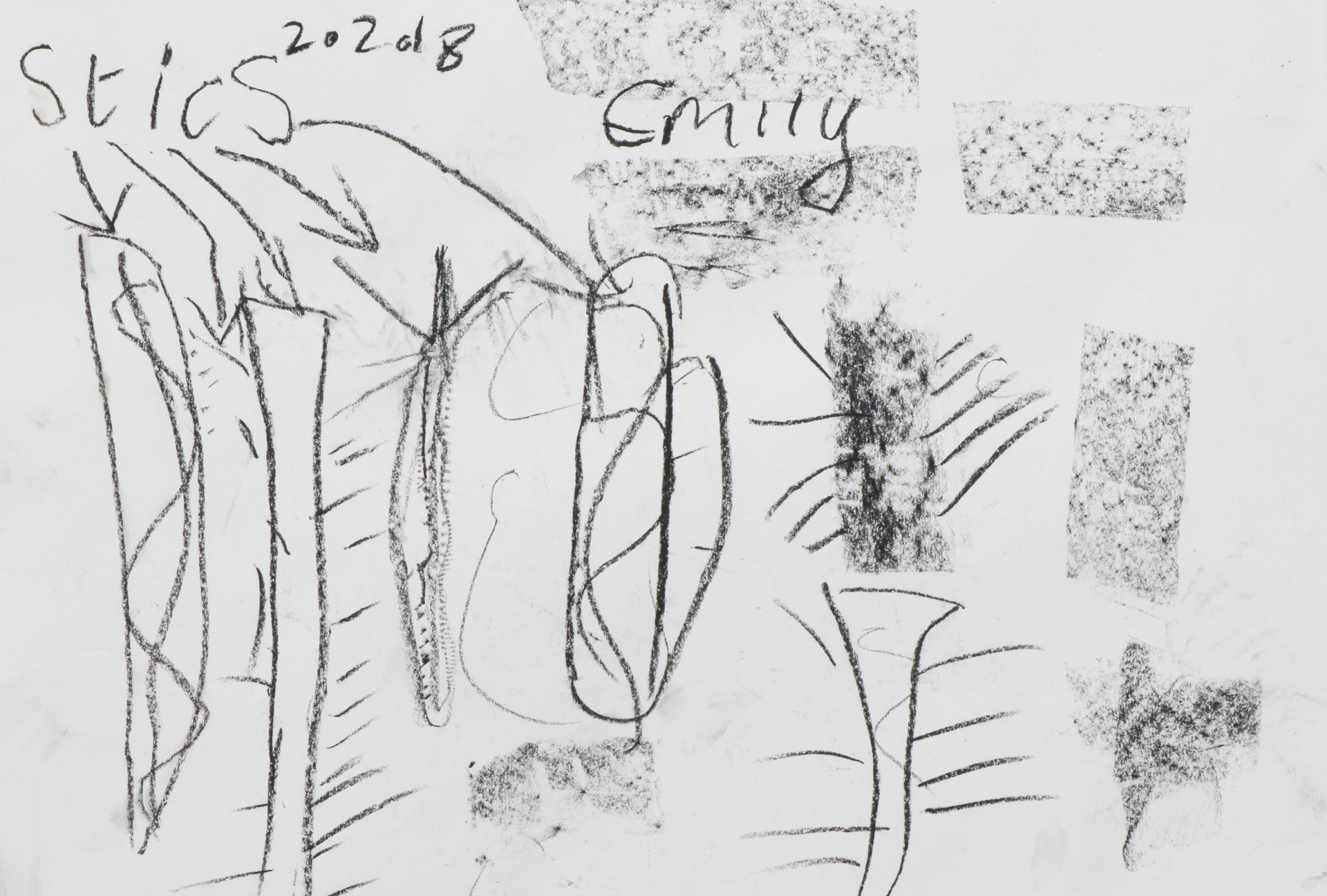 CDLY P Twig drawing, IMG_9111.jpg