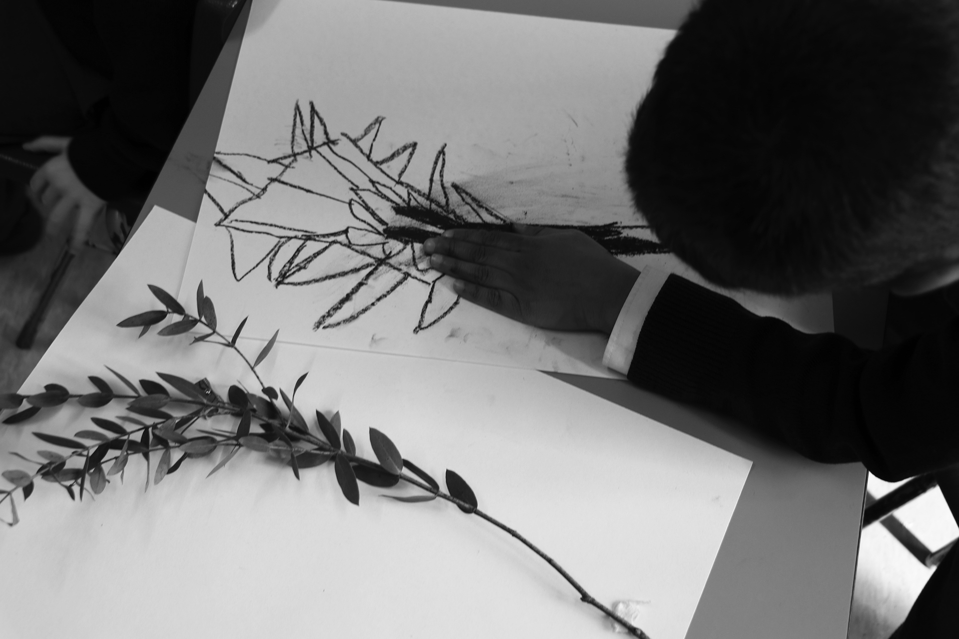 CDLY P bw IMG_3066.jpg