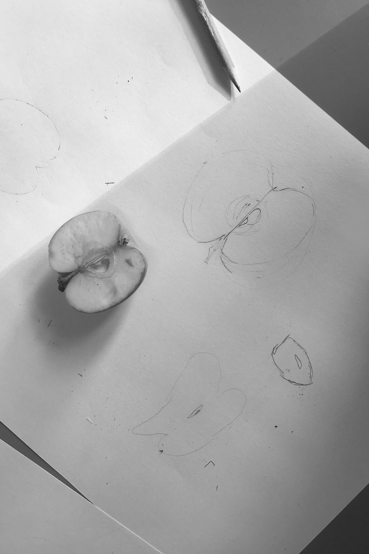 CDLY P bw IMG_4514.jpg