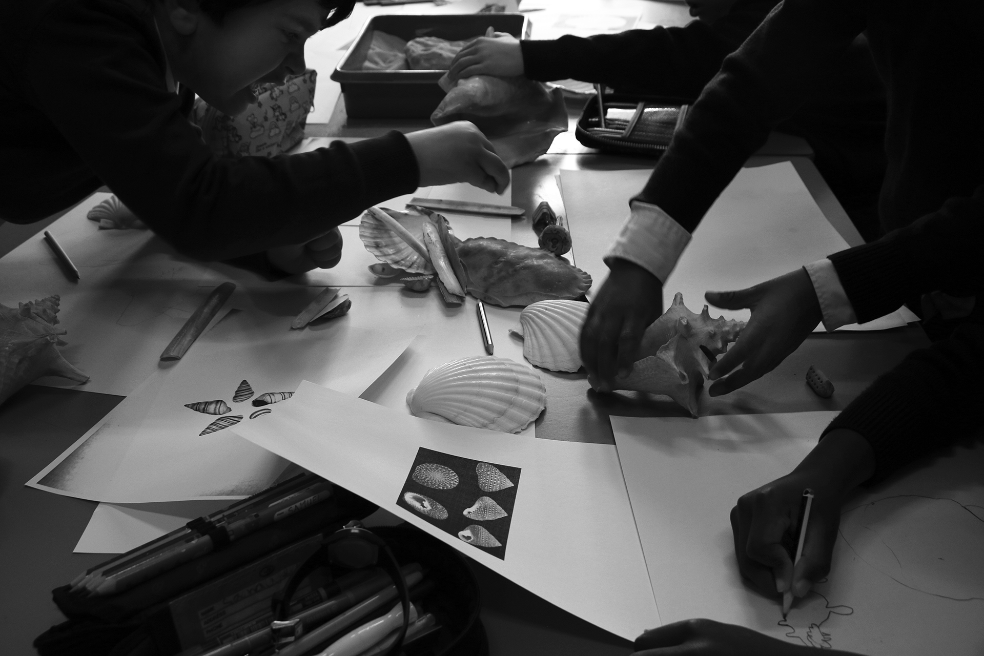 THIS CDLY P bw IMG_4512.jpg