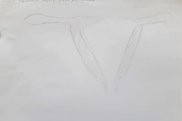 CDLY P corr S.V. 10.01.21 copy.jpg