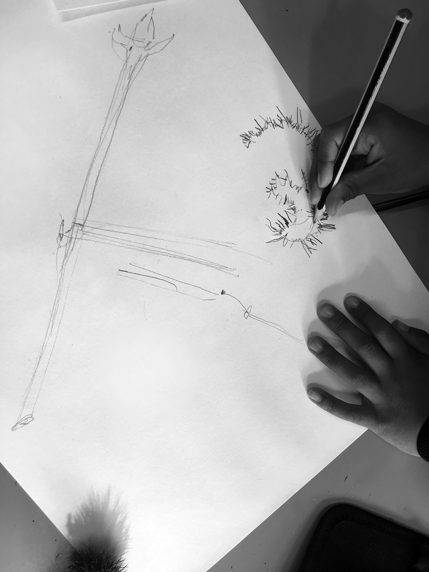 CDLY P bw IMG_4512.jpg