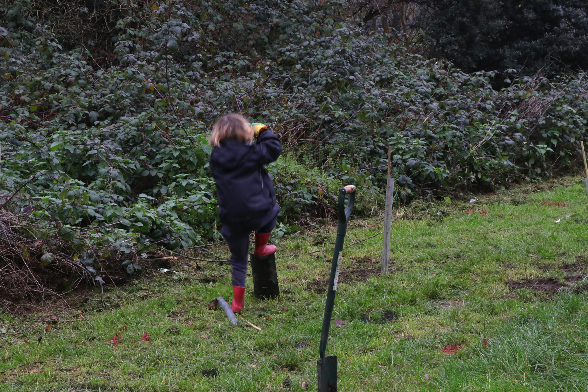 CDLY P Tree Planting, IMG_7186.jpg