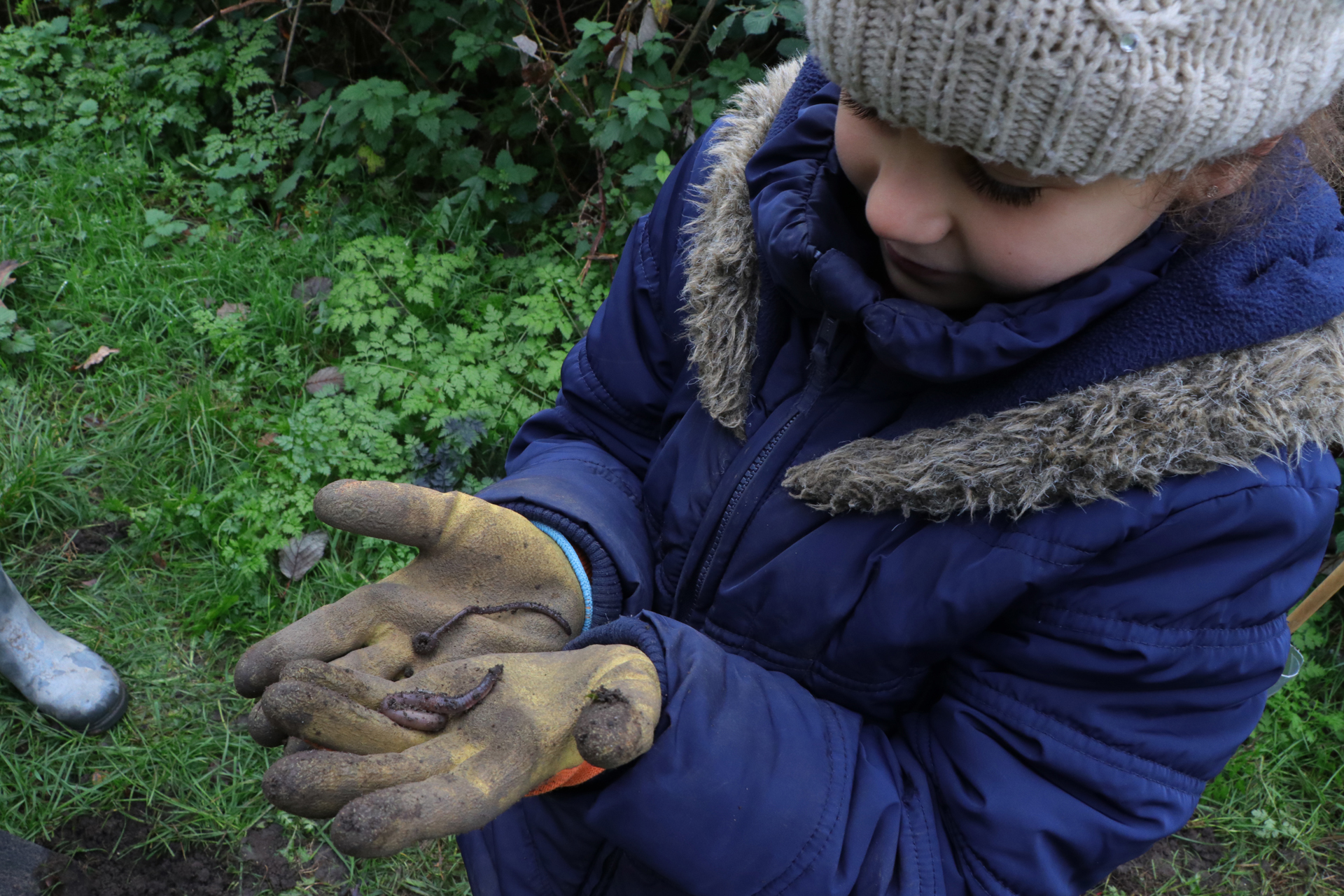CDLY P Tree Planting, IMG_7280.jpg