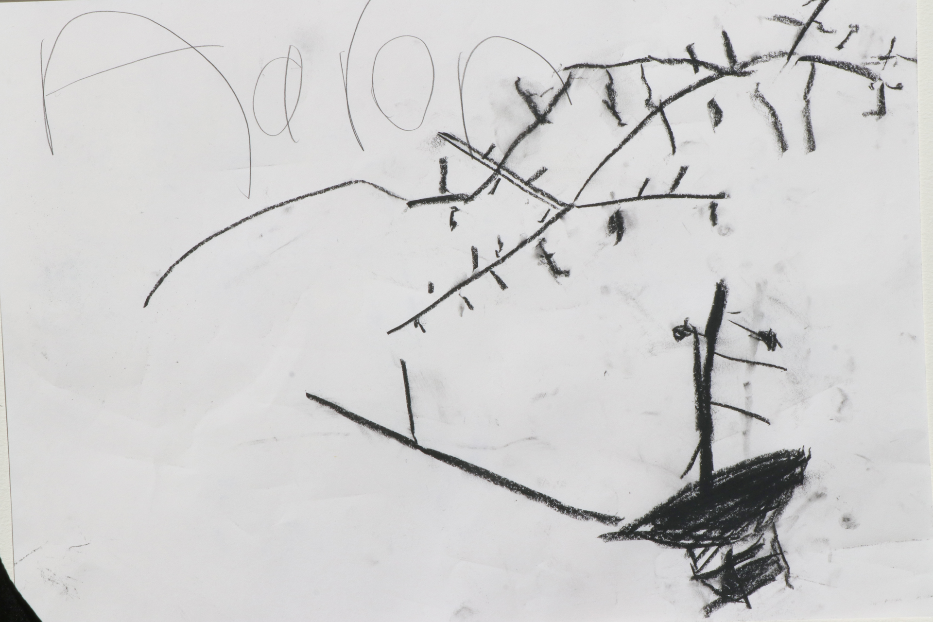 CDLY P Twig drawing, IMG_9114.jpg