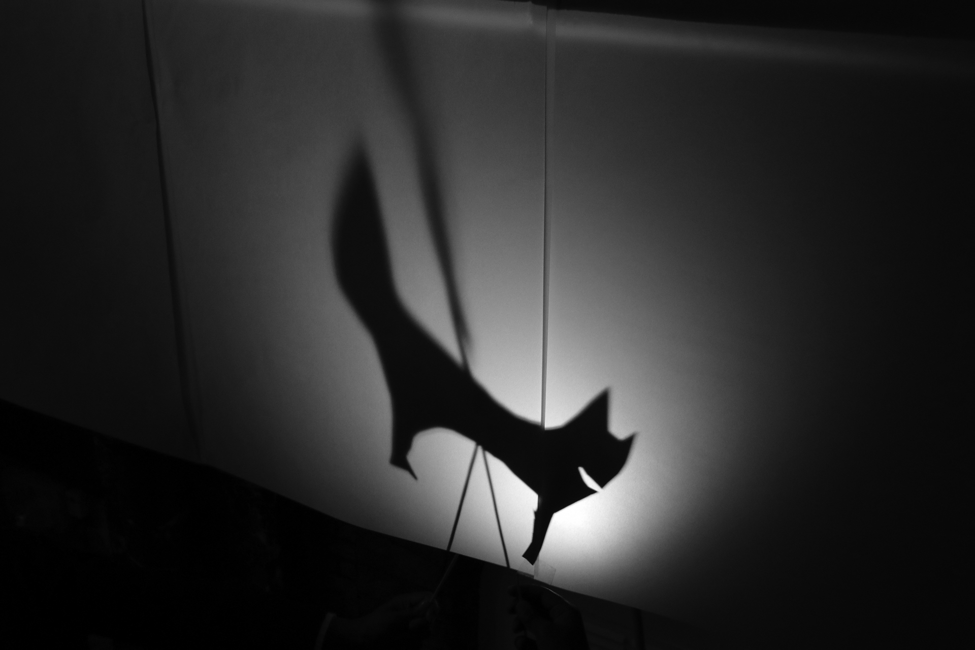 + CDLY P Shadow Puppets IMG_1814.jpg