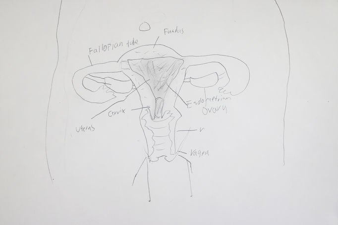 CDLY P corr=IMG_6680.jpg