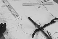 CDLY P Twigs IMG_9873.jpg