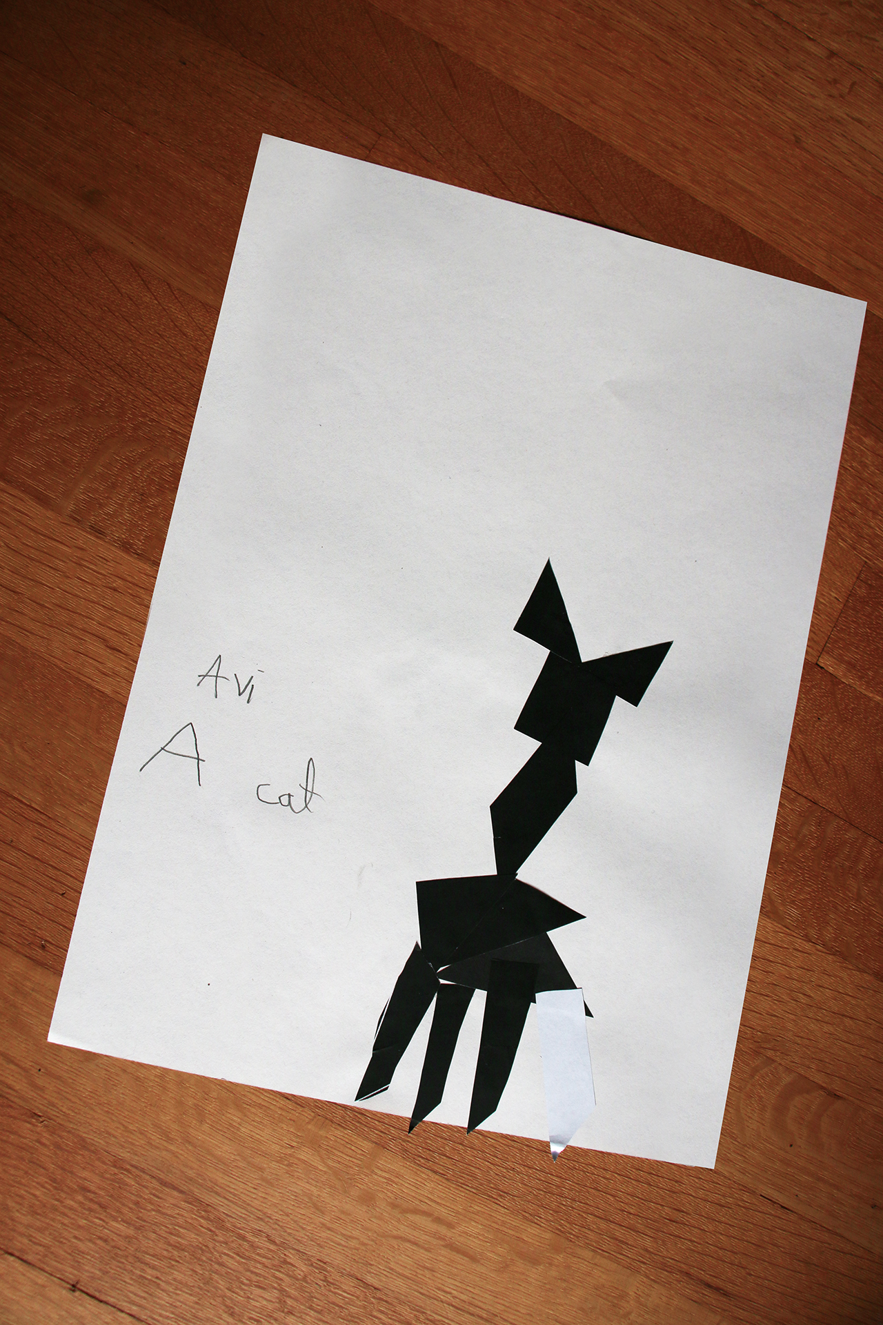 CDLY P +IMG_7161.jpg