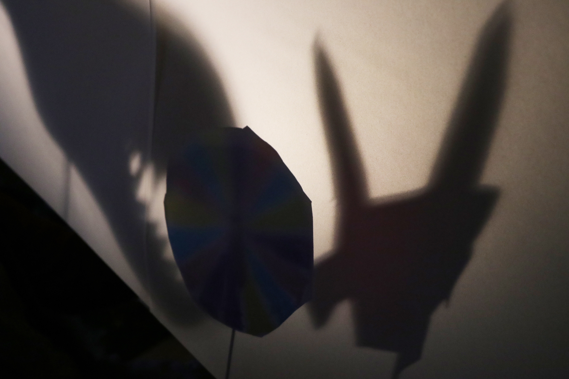 a CDLY P Shadow Puppets IMG_1875.jpg