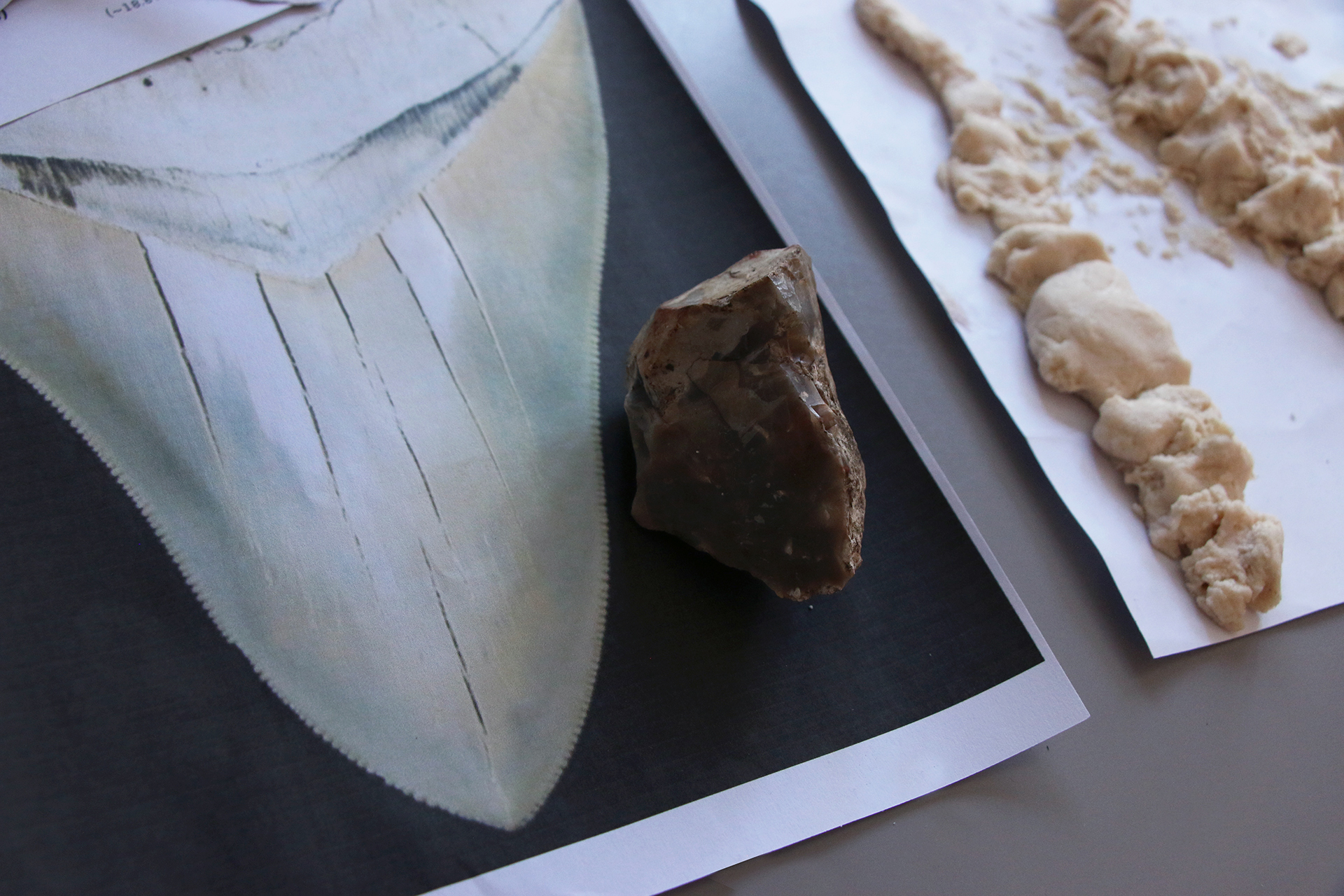 CDLY P corr oneIMG_9559.jpg