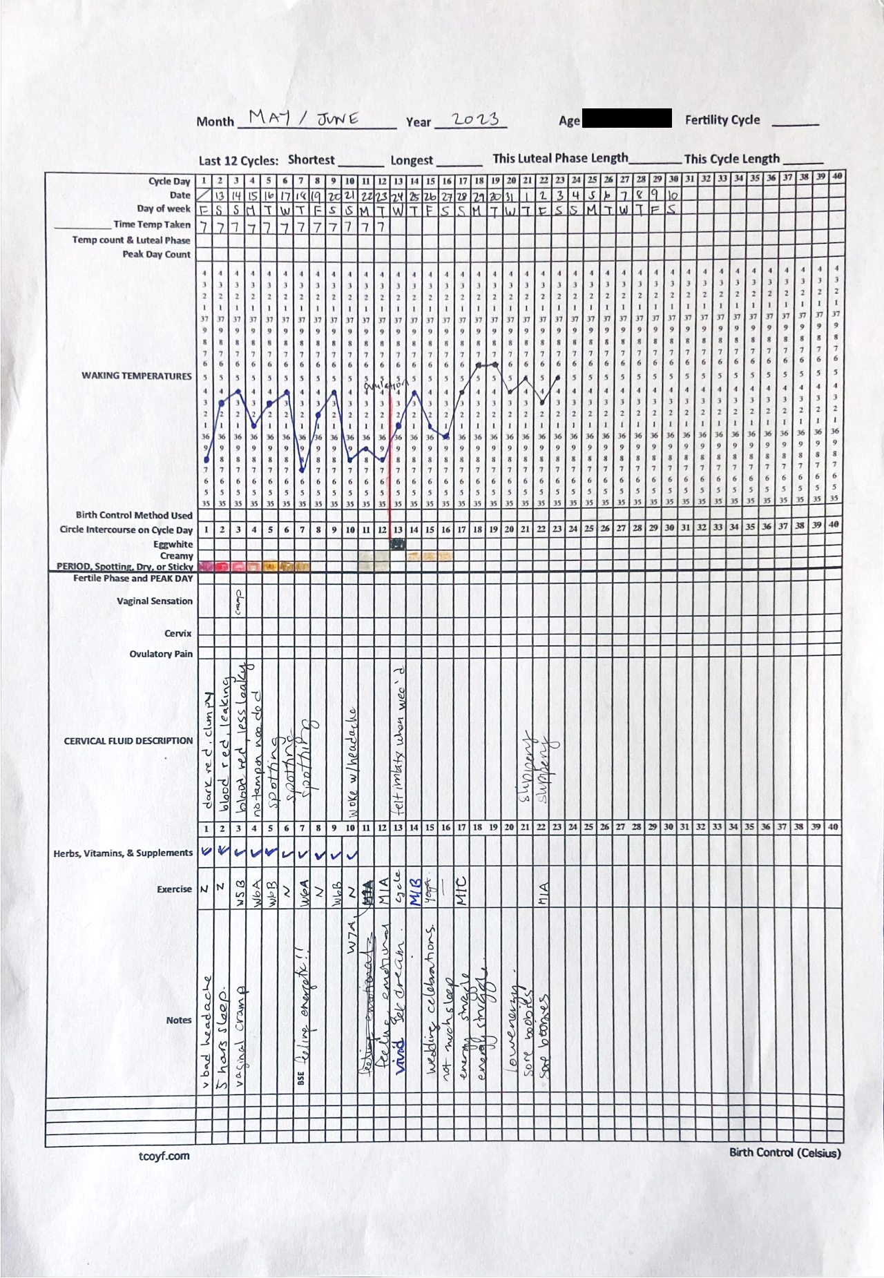 CDLY P corr Untitled-1.jpg