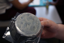 CDLY P corr =IMG_6607 copy.jpg