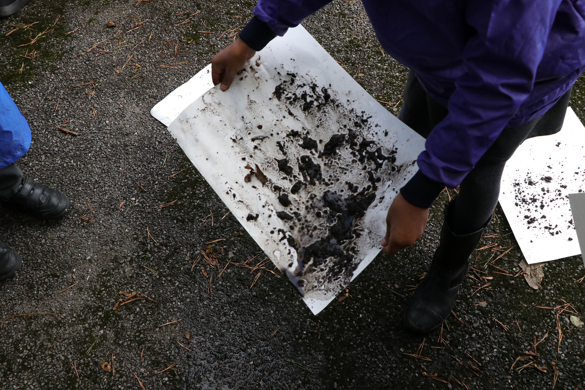 +CDLY P Mud Painting IMG_1686.jpg