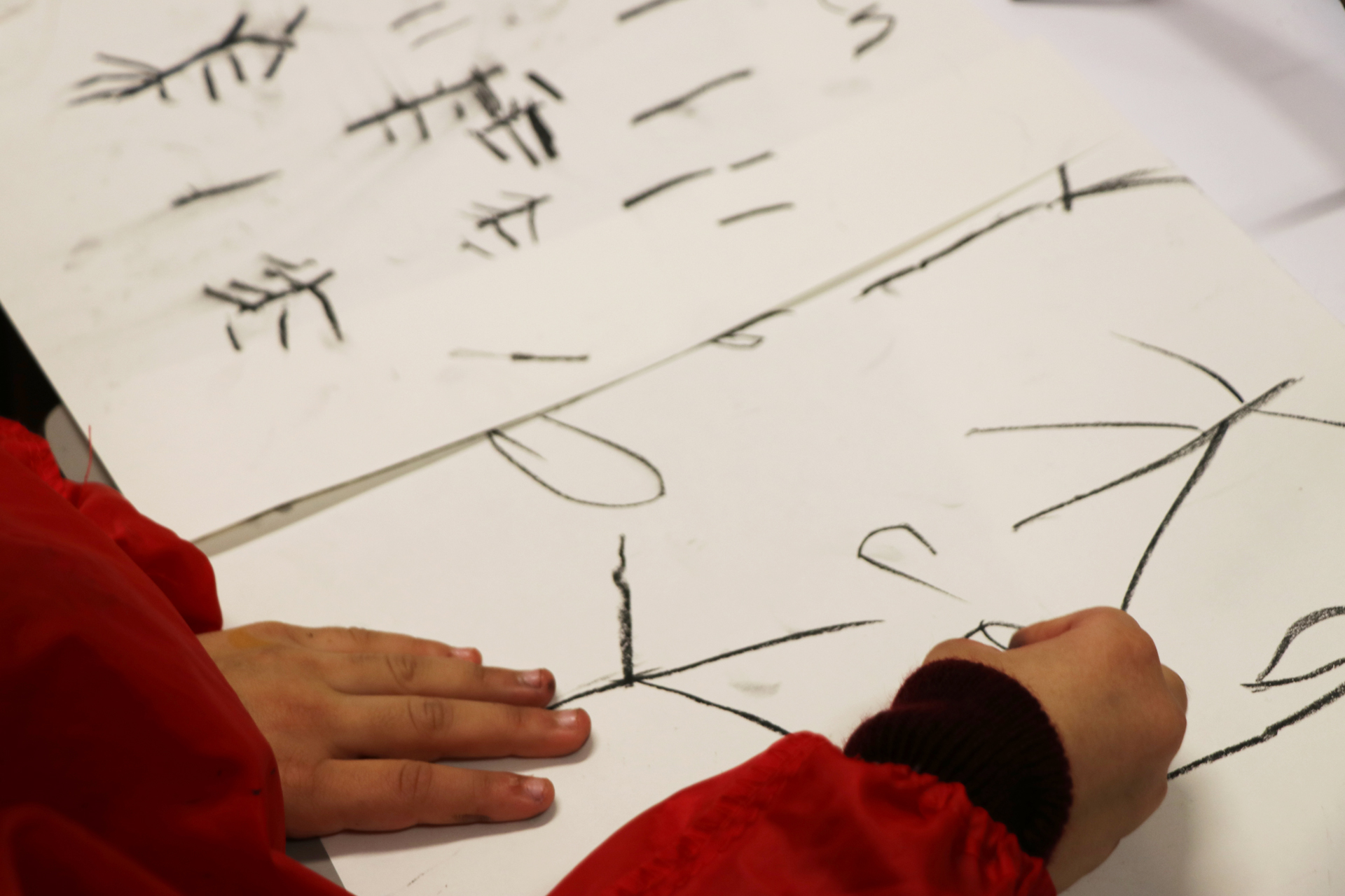 CDLY P Twig drawing, IMG_7853.jpg