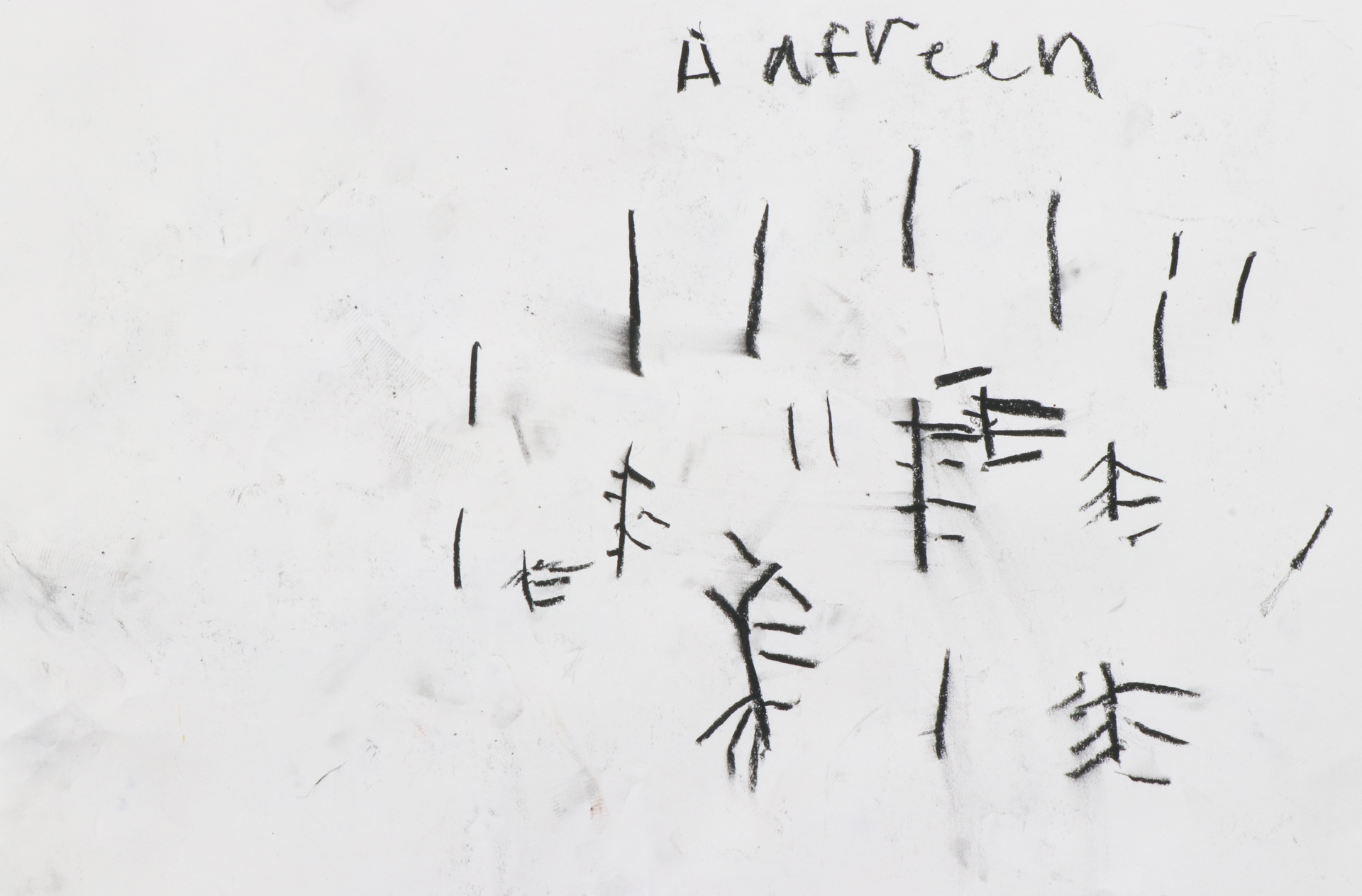 CDLY P Twig drawing, IMG_9107.jpg