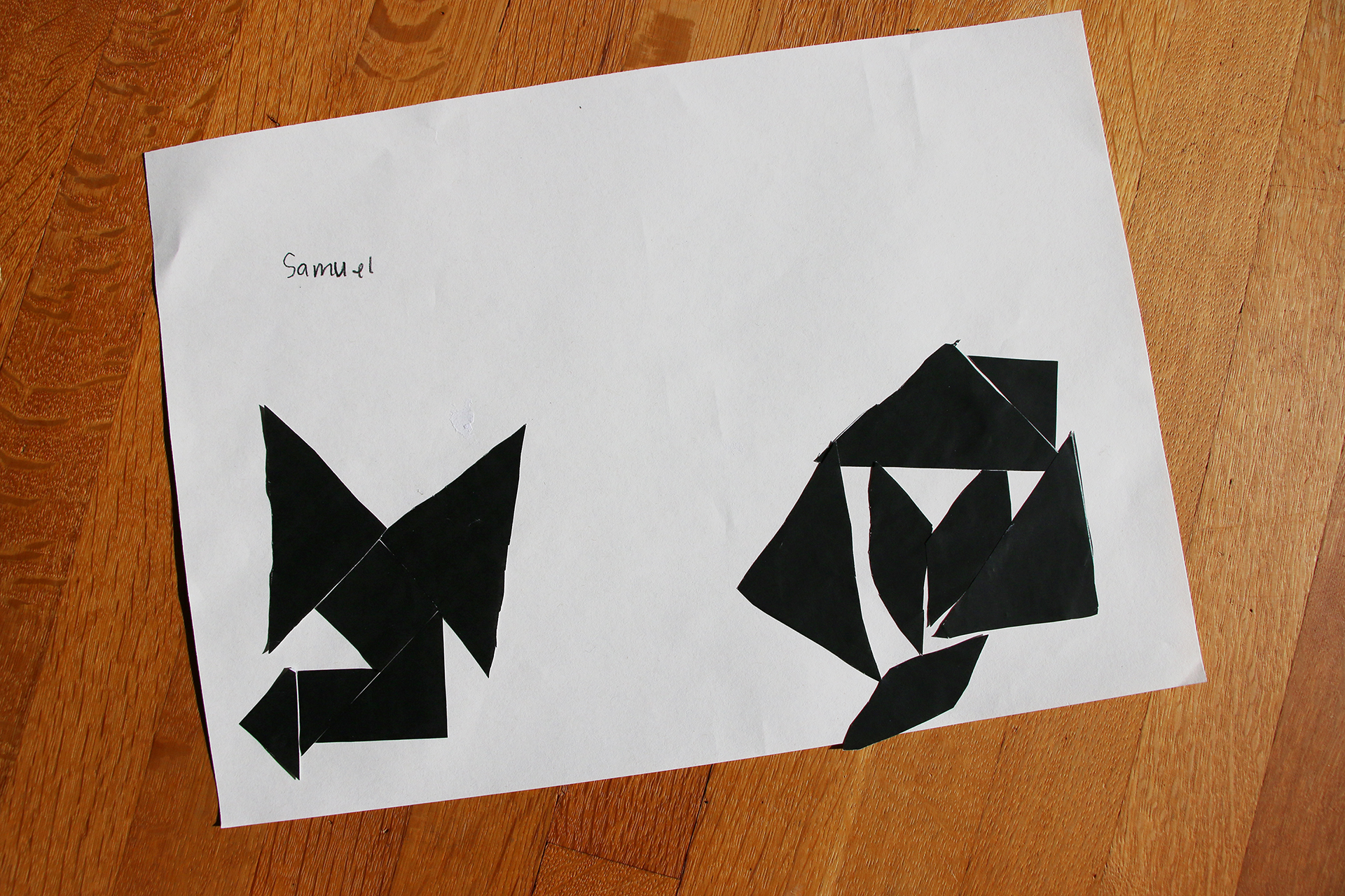 CDLY P +IMG_7166.jpg