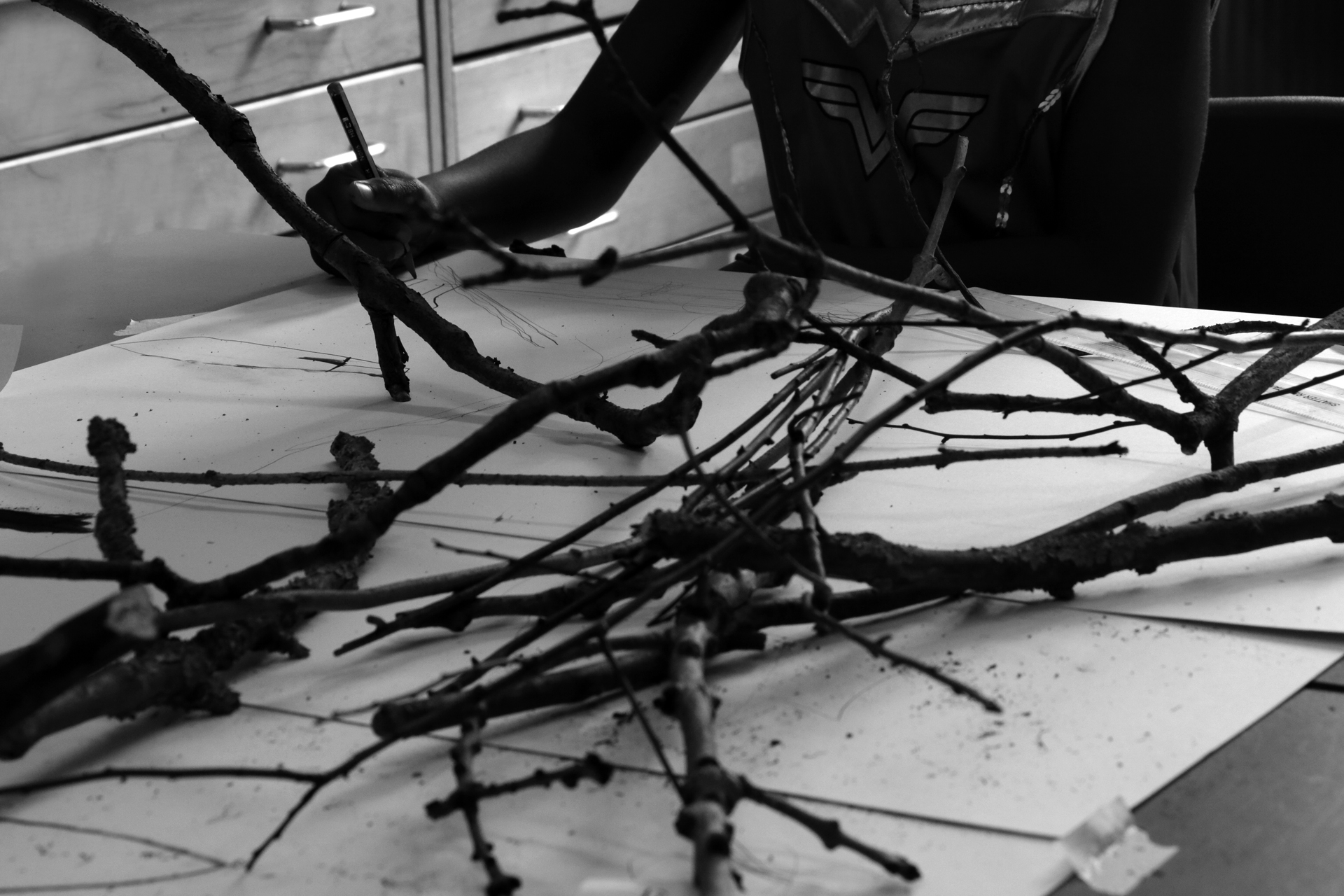 CDLY P Twigs IMG_9878.jpg