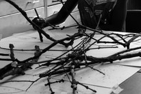 CDLY P Twigs IMG_9878.jpg