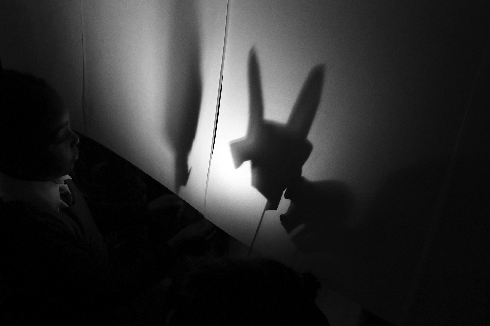 bw +CDLY P Shadow Puppets MG_1873.jpg