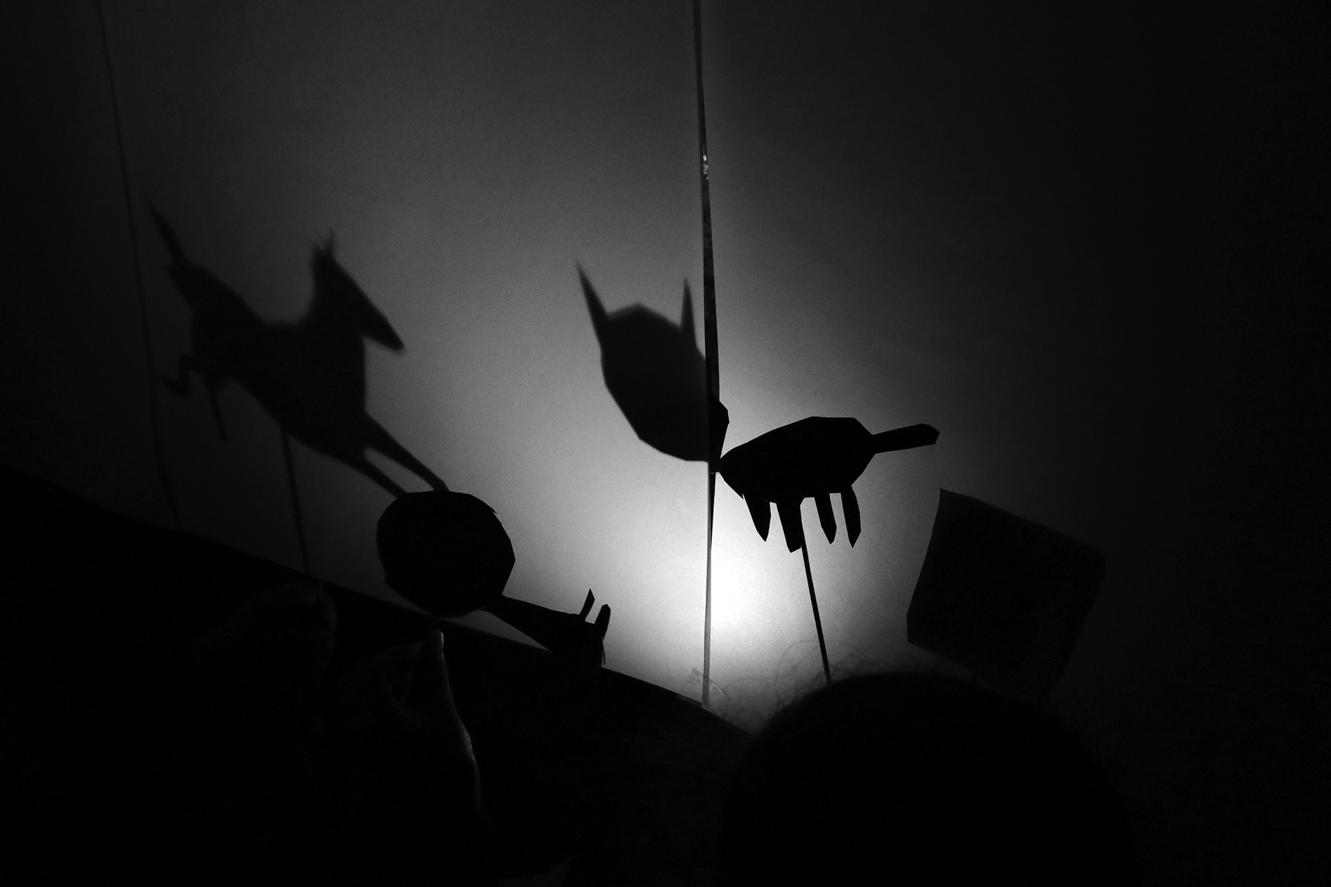 + CDLY P Shadow Puppets IMG_1862.jpg