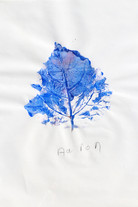 -CDLY P Leaf Prints, IMG_8635.jpg