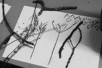 CDLY P Twigs IMG_7831.jpg