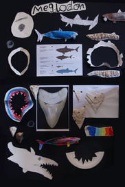 CDLY P corr oneIMG_9591.jpg