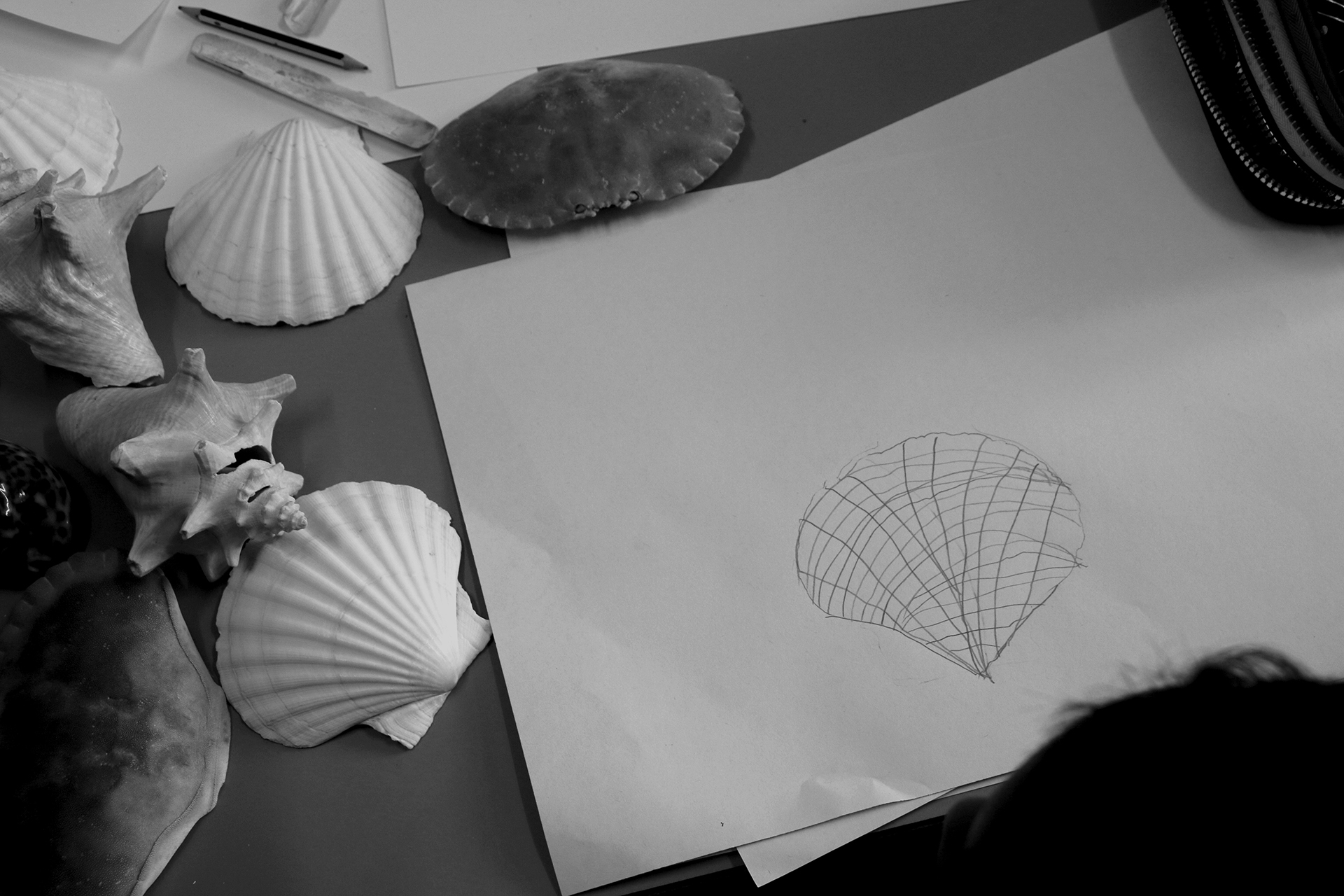 THIS bw &IMG_6382.jpg