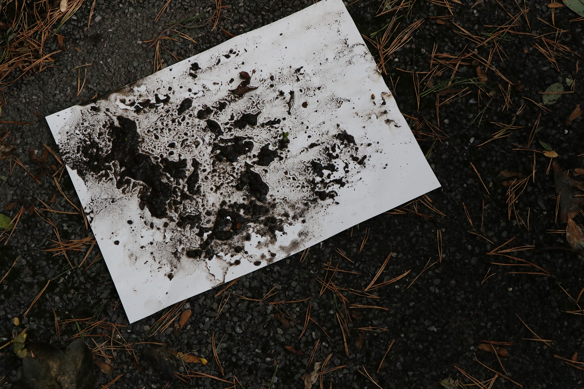 +CDLY P Mud Painting IMG_1690.jpg