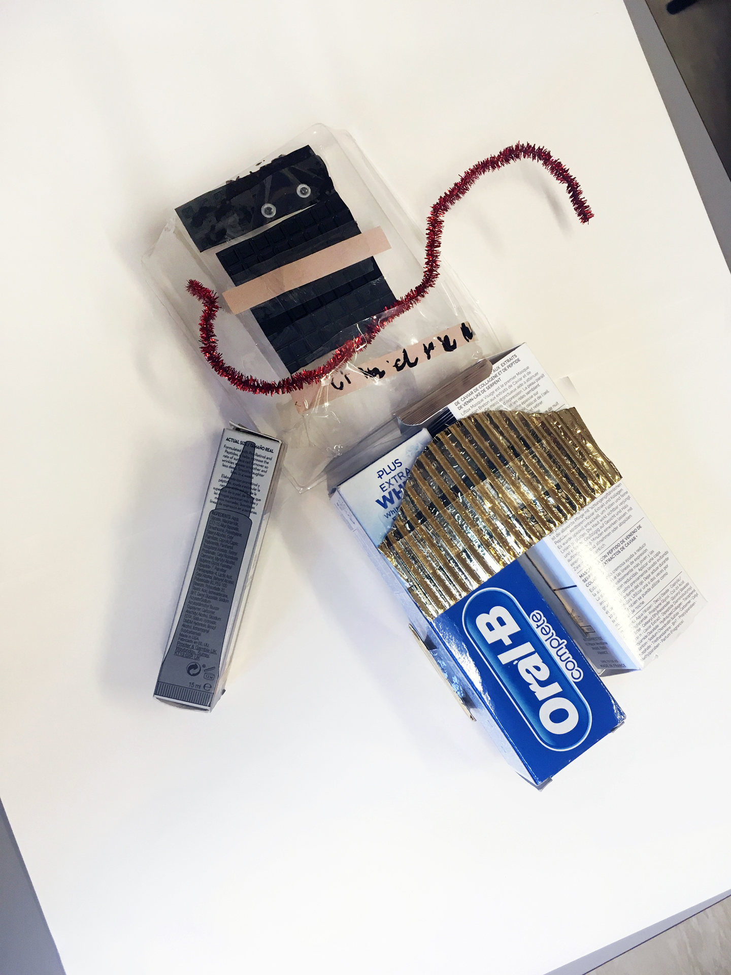 CDLY P Robots IMG_2889.jpg