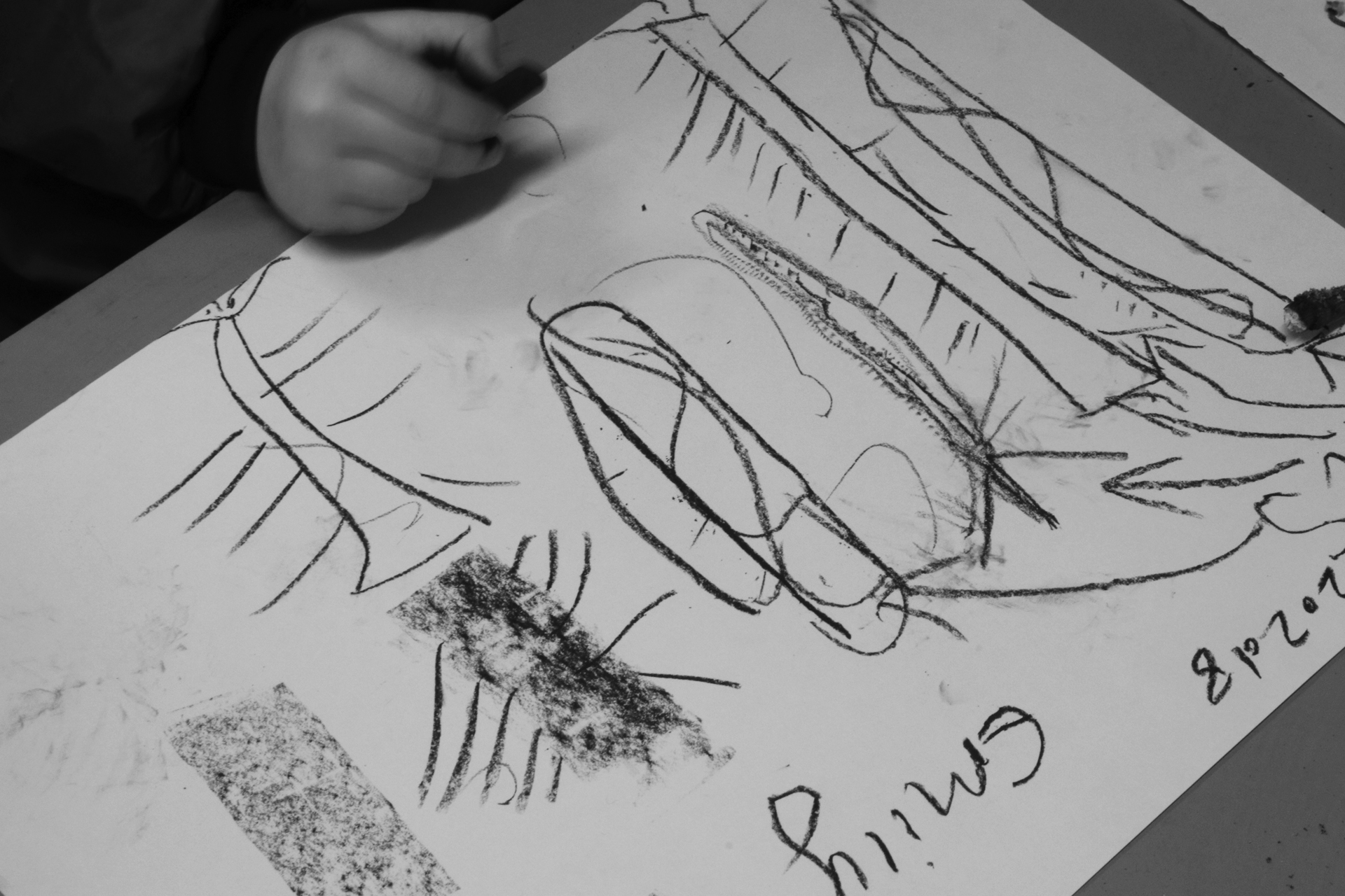 CDLY P Twigs IMG_7858.jpg