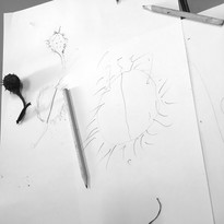 CDLY P bw IMG_4526.jpg