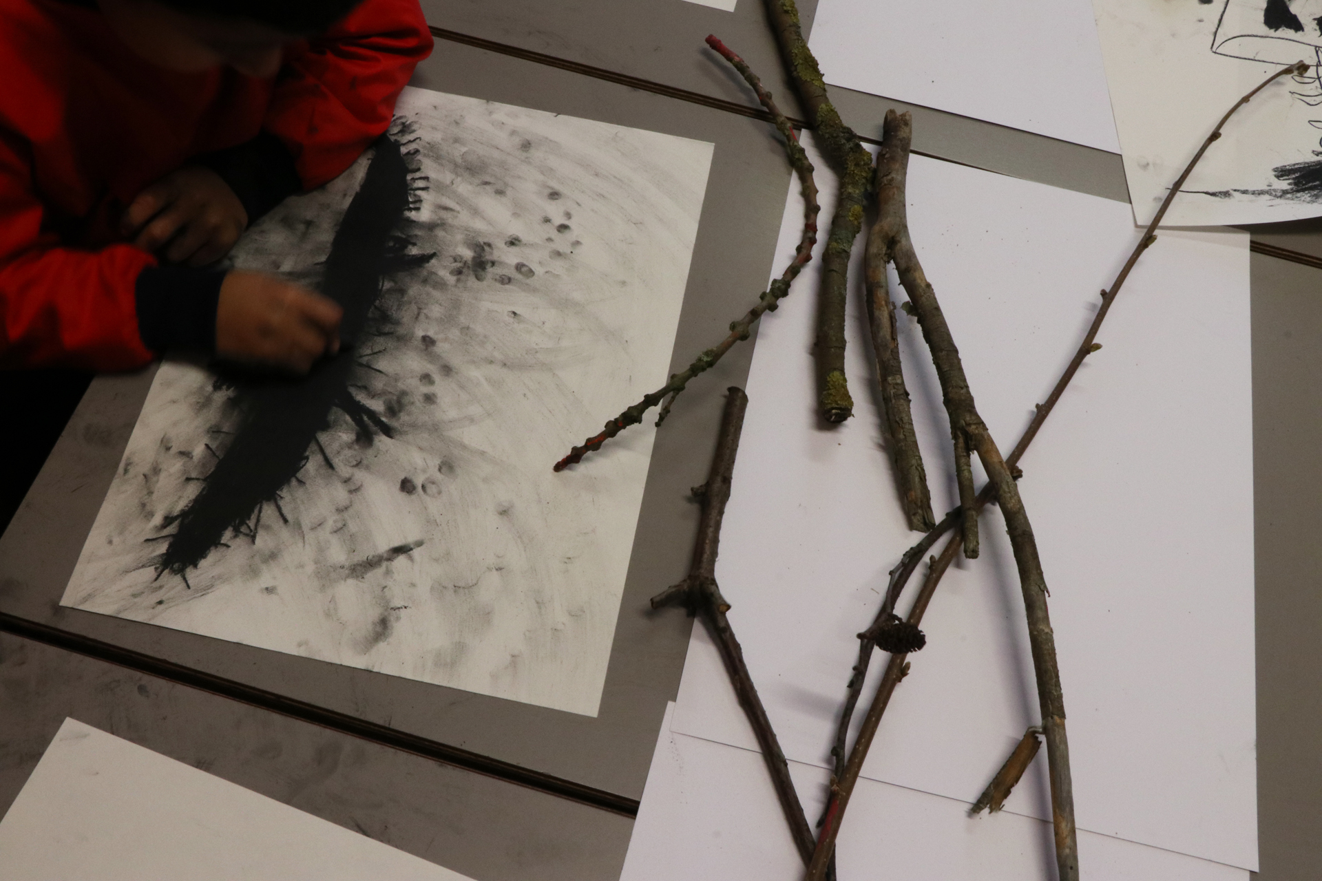 CDLY P Twigs, IMG_7807.jpg