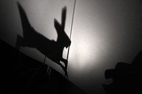 a CDLY P Shadow Puppets IMG_1876.jpg