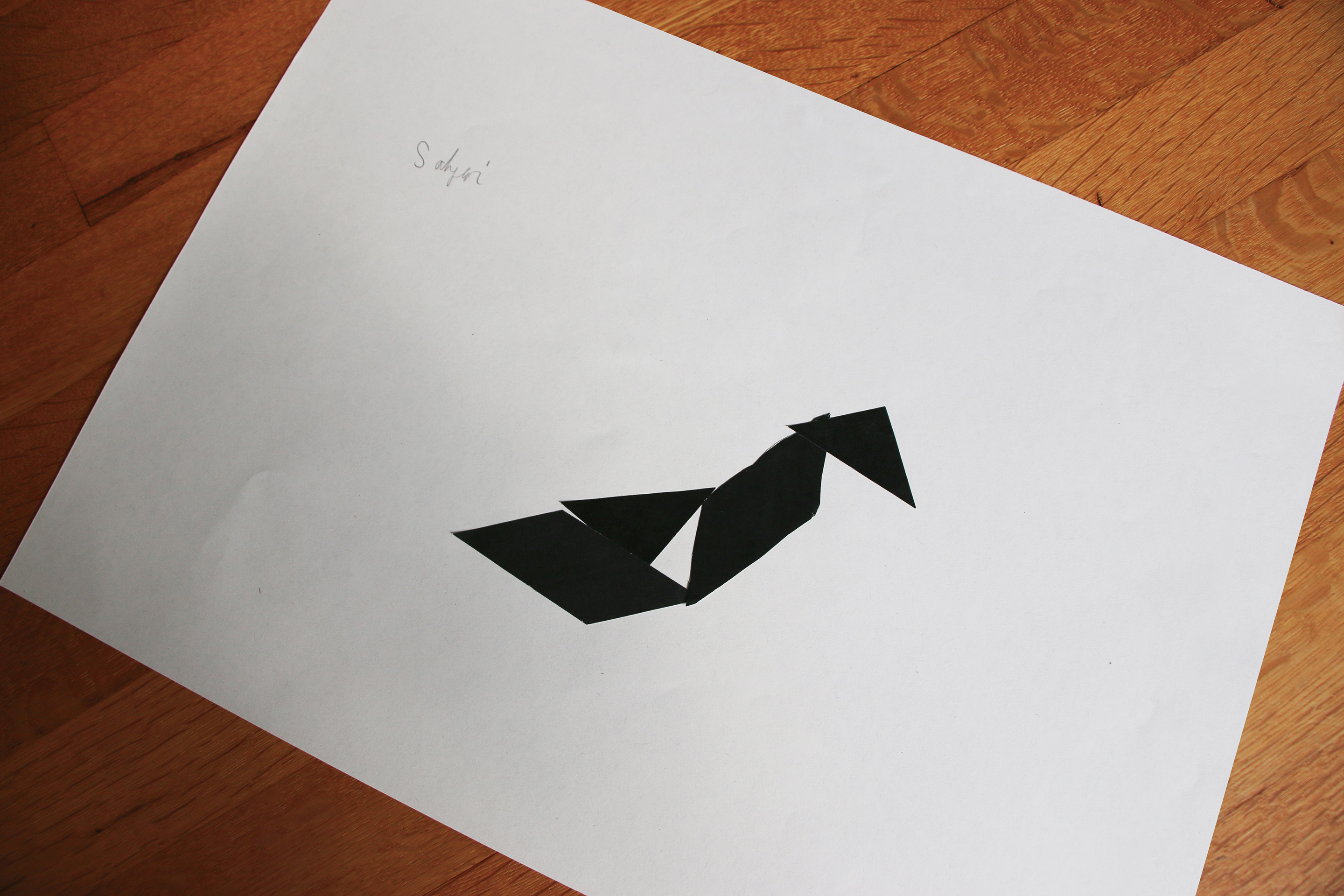 CDLY P +IMG_7176.jpg