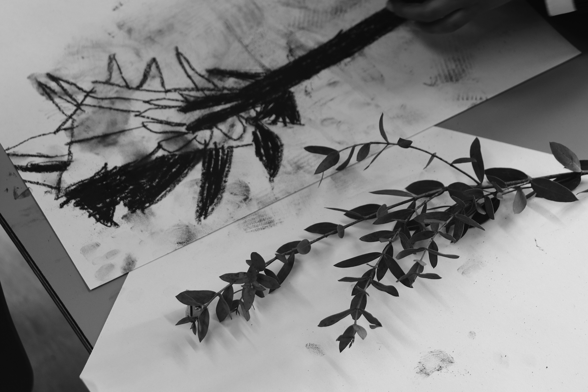 CDLY P bw IMG_3071.jpg