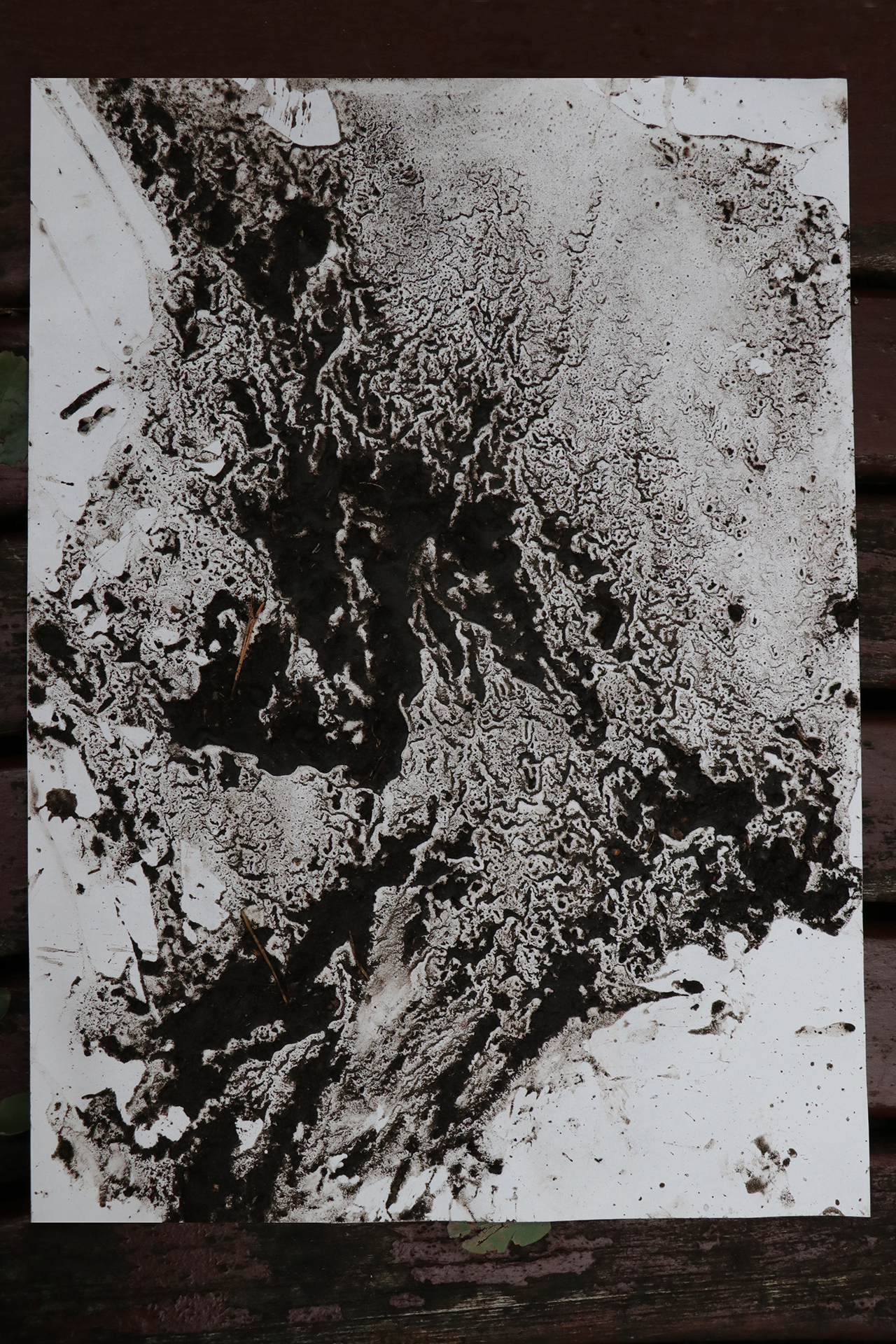 +CDLY P Mud Painting MG_1742.jpg