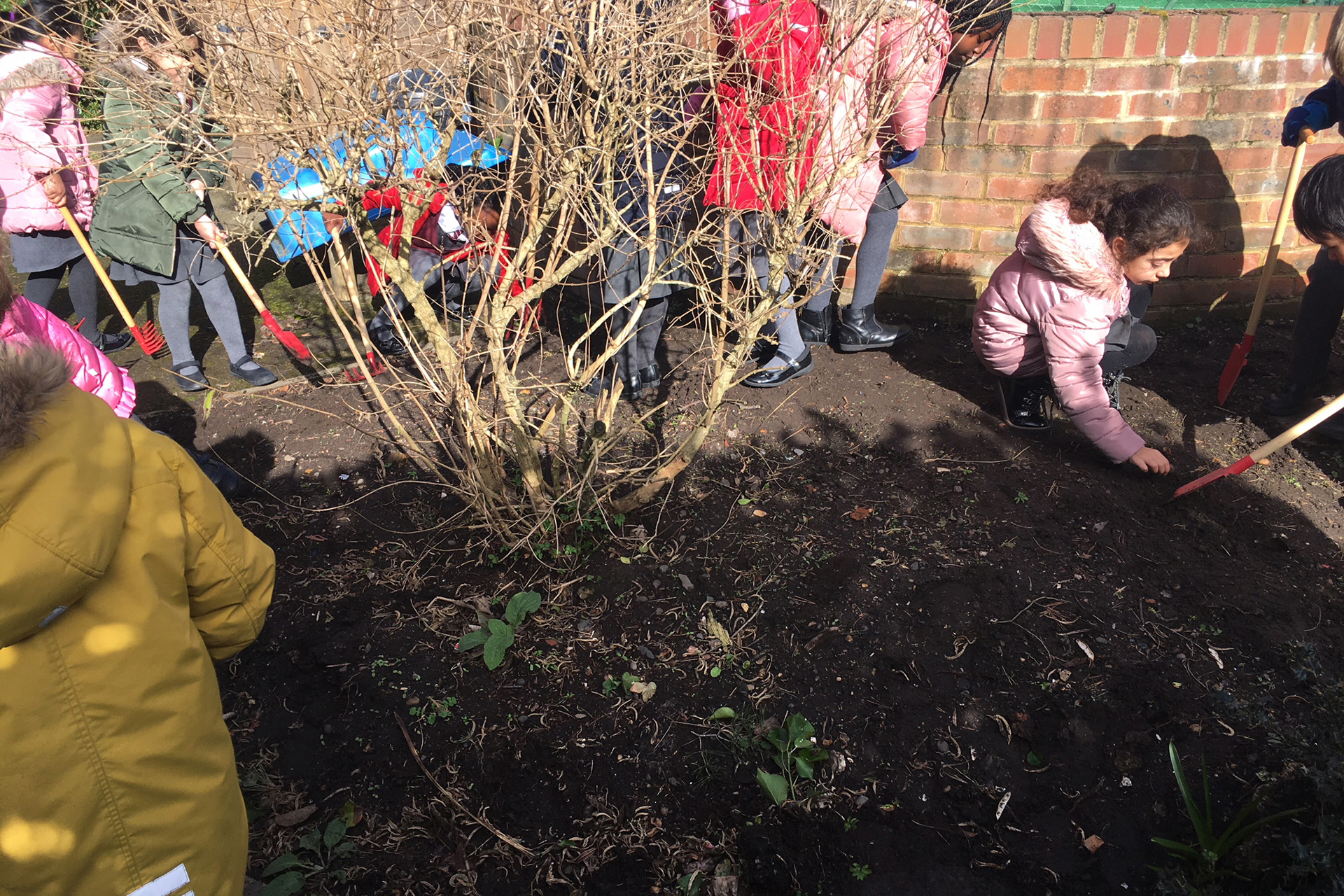 CDPLY P Bee-friendly meadow, IMG_2233.jpg