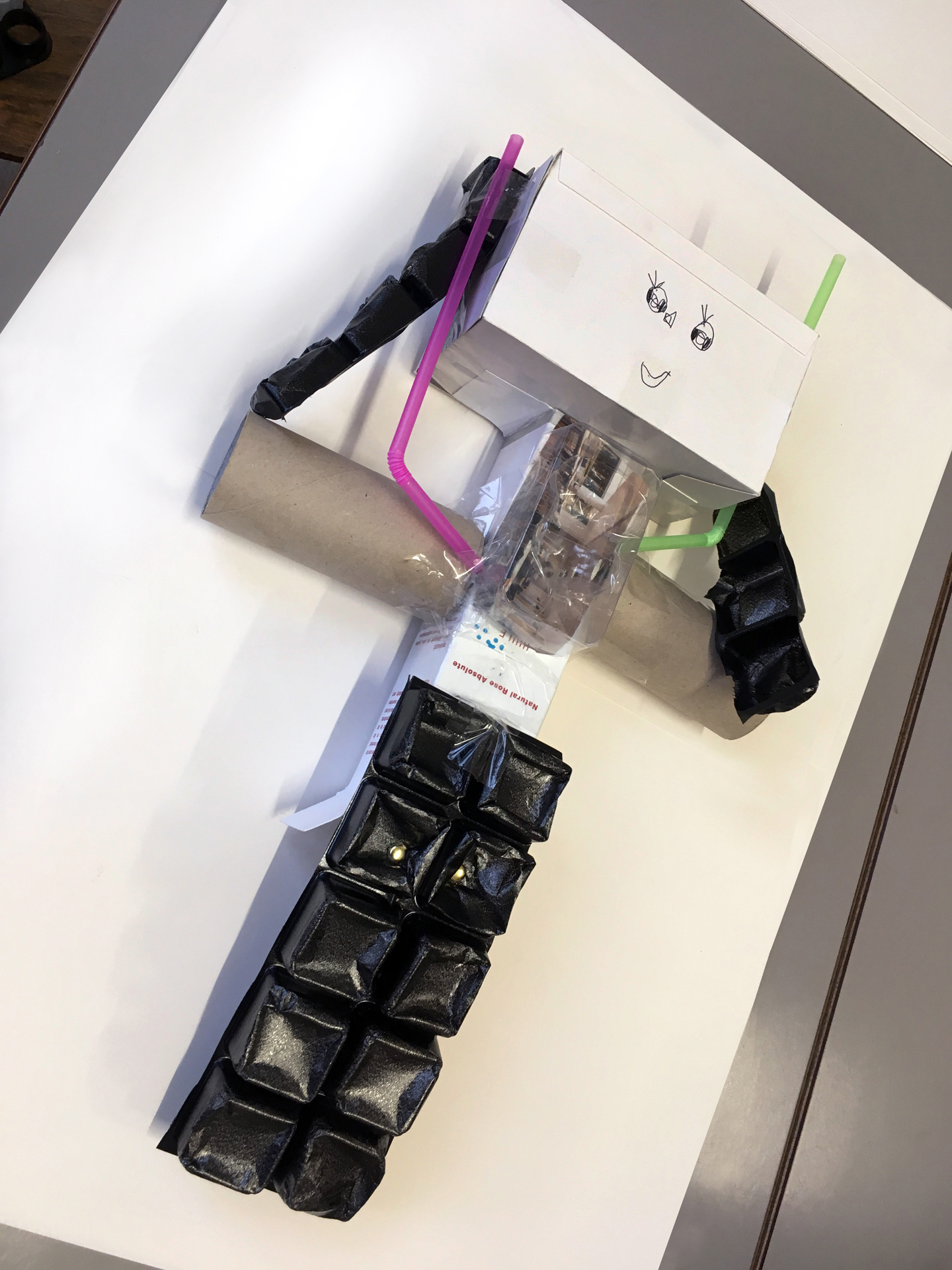 CDLY P Robots IMG_2863.jpg