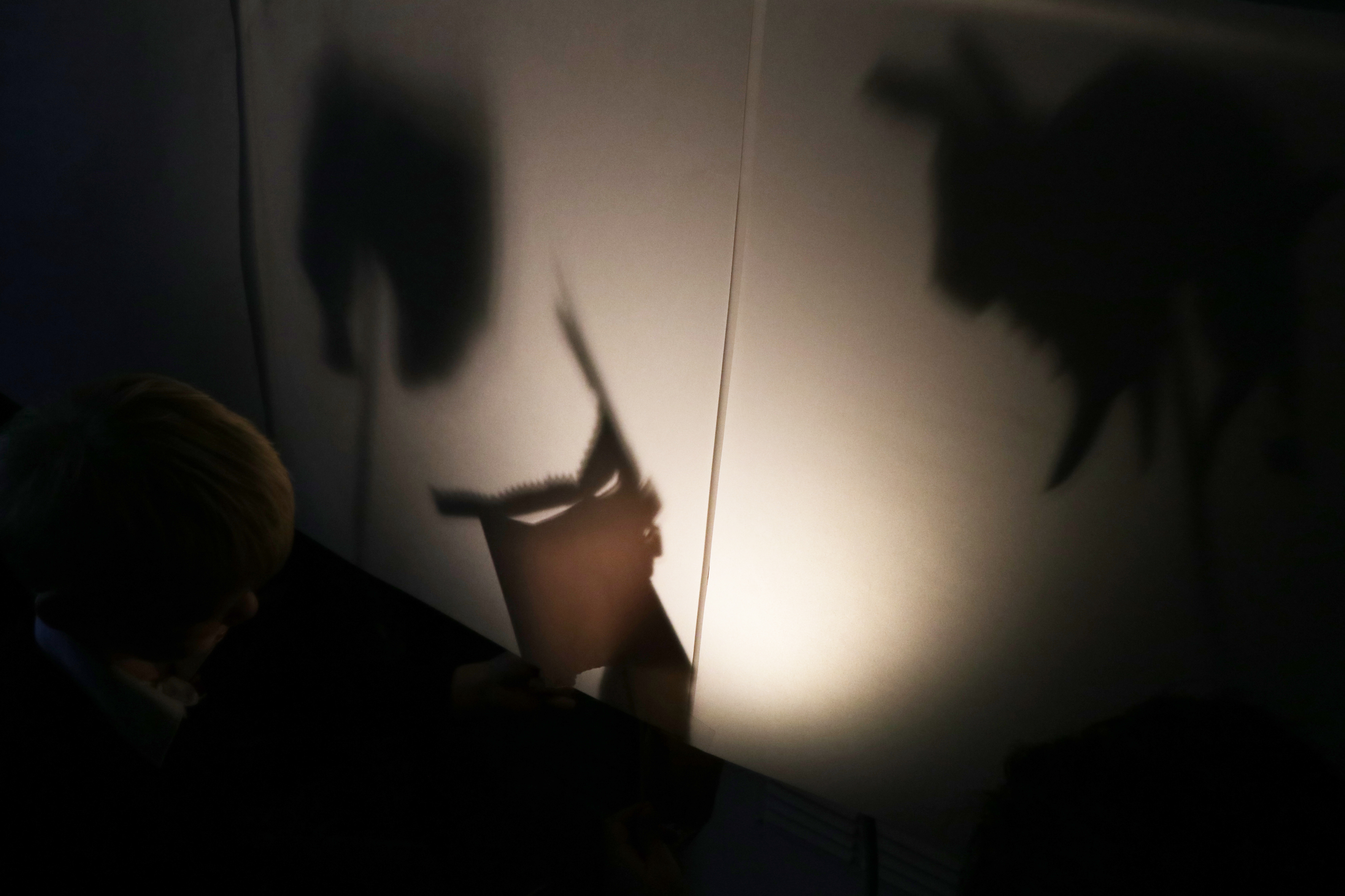 +a CDLY P Shadow Puppets IMG_1836.jpg