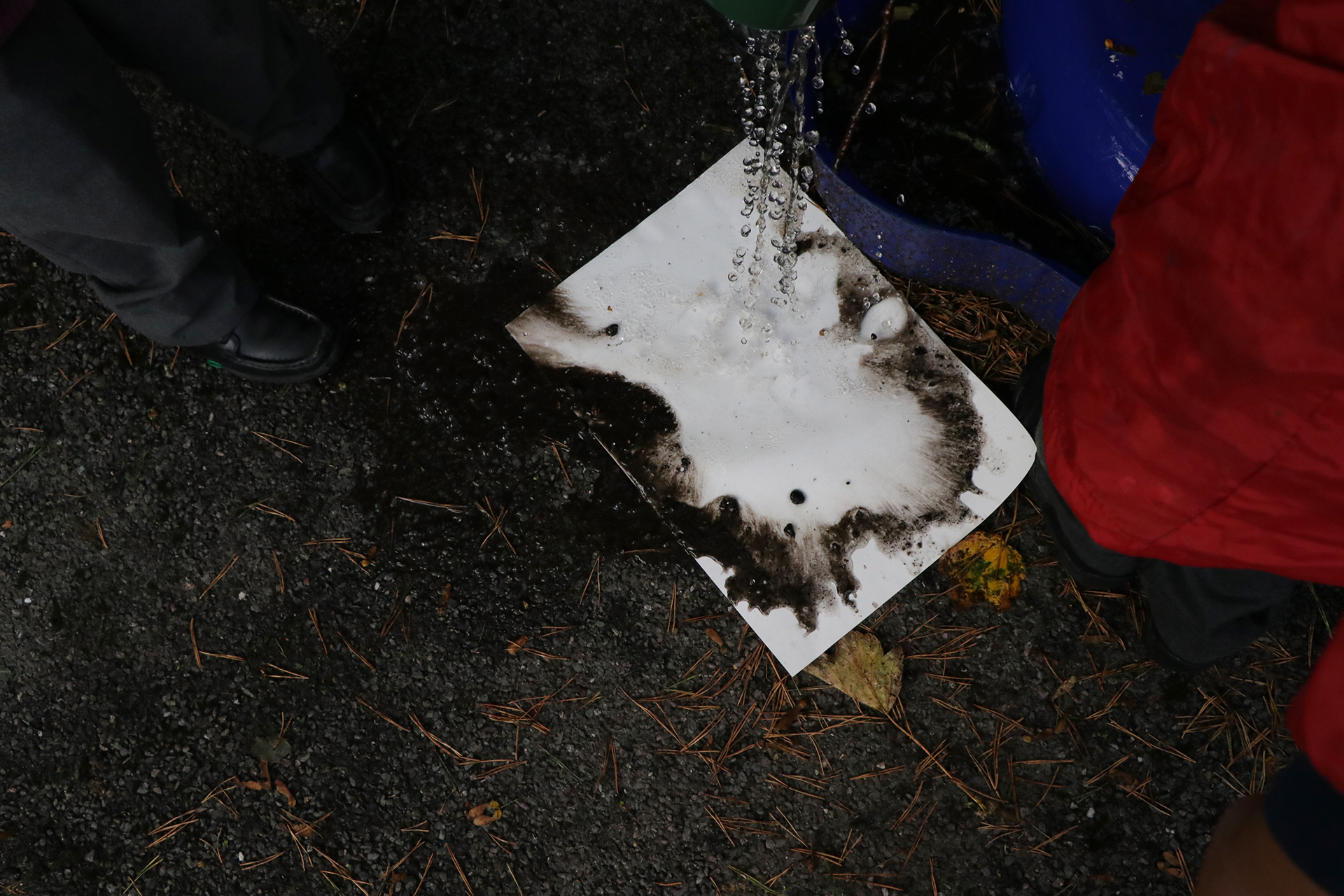 +CDLY P Mud Painting IMG_1694.jpg