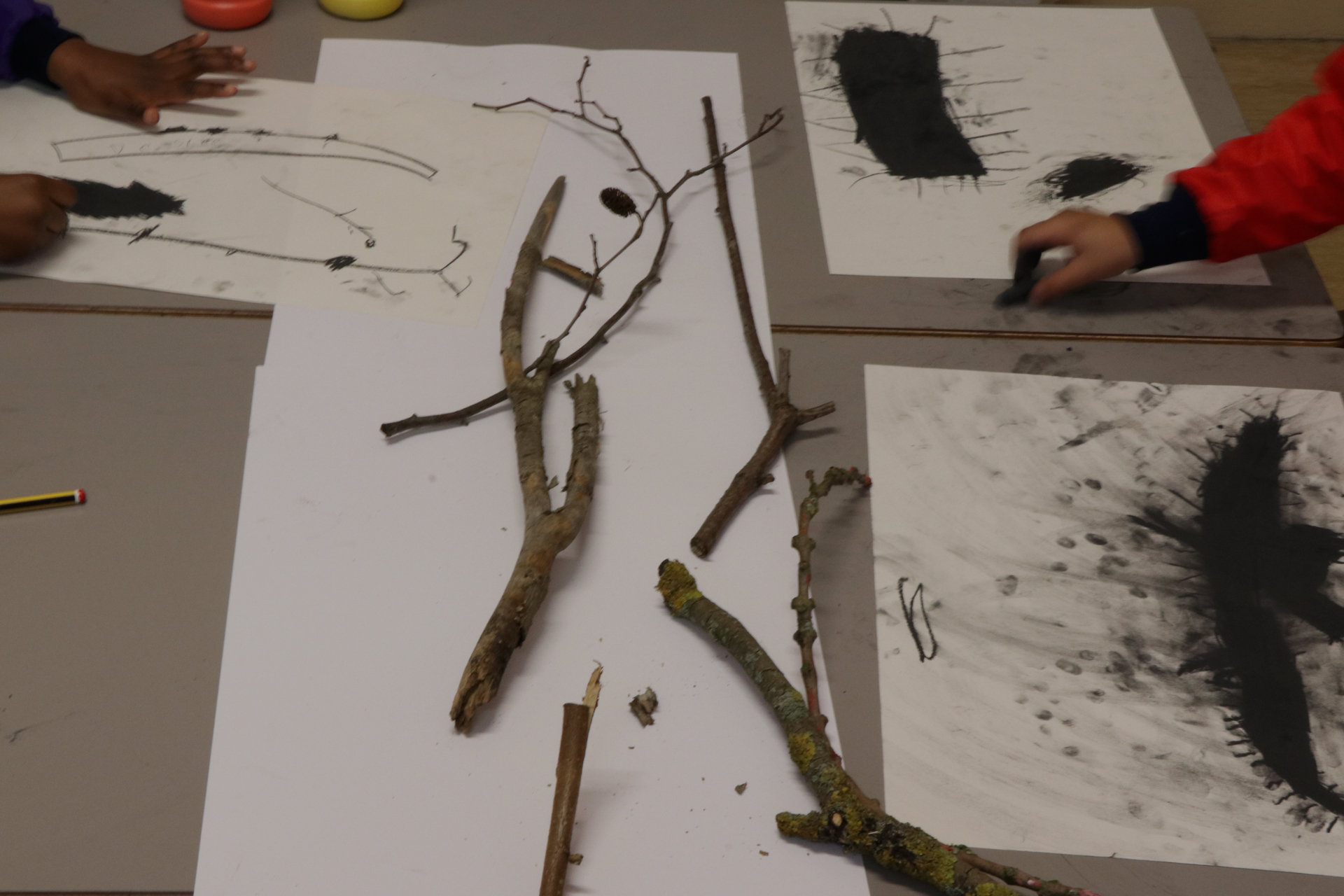 CDLY P Twigs drawing IMG_7815.jpg